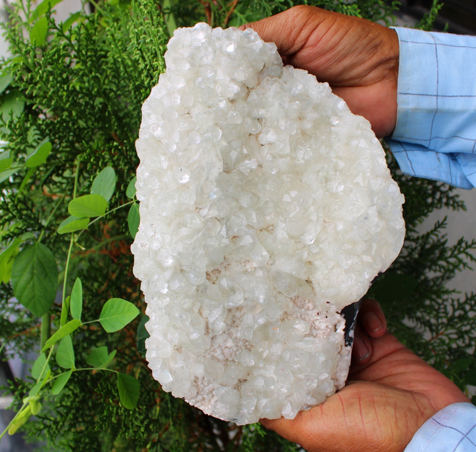 Light Green Apophyllite Crystals On Matrix Mineral Specimen
