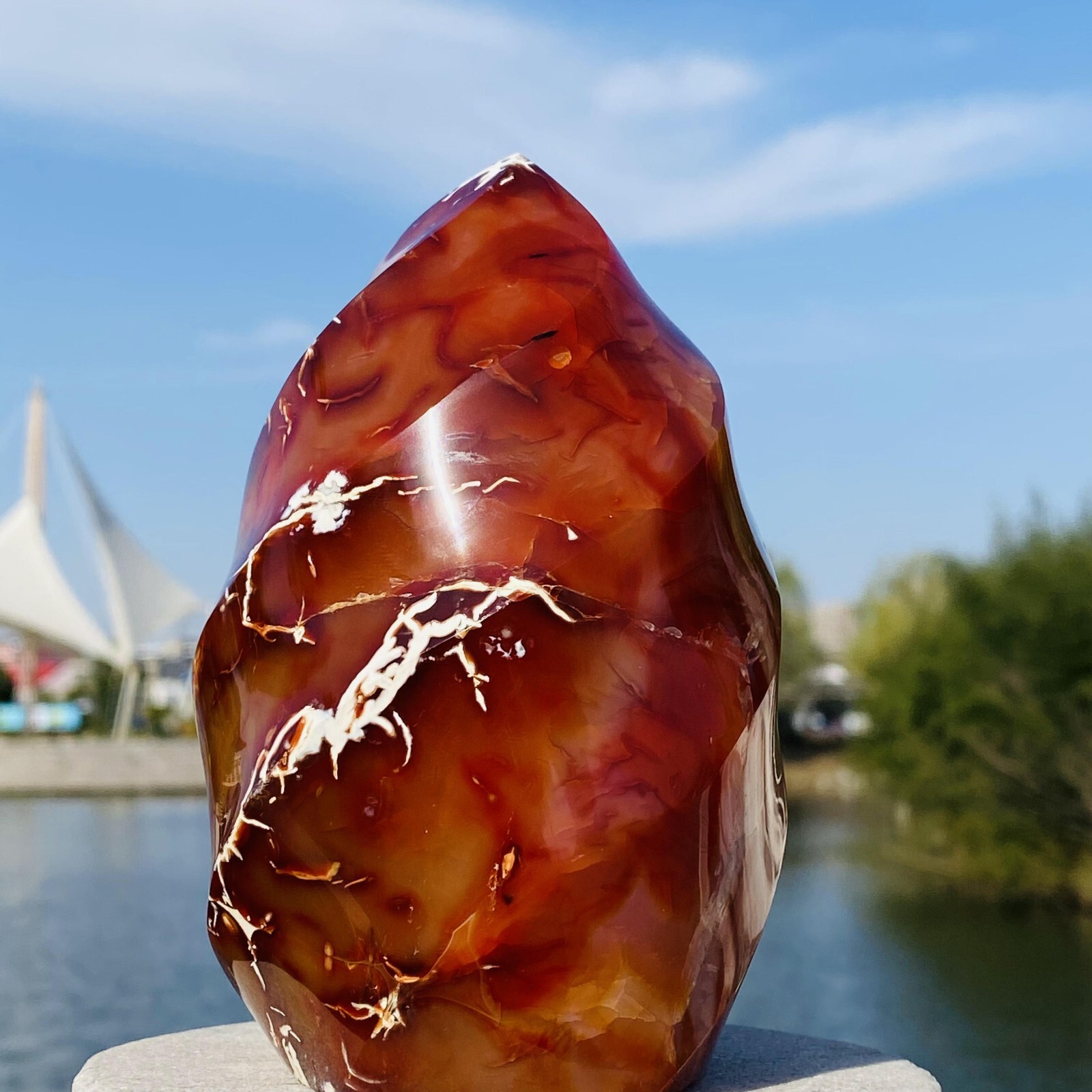 2.74LB Natural Red Agate Flame spiral Quartz Crystal Mineral specimen healing