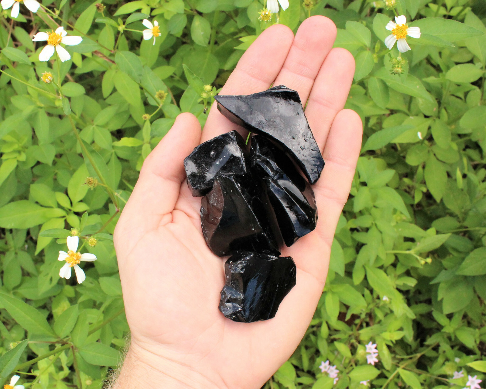Raw Natural Black Obsidian Crystals: Choose How Many Pieces – Rough Obsidian