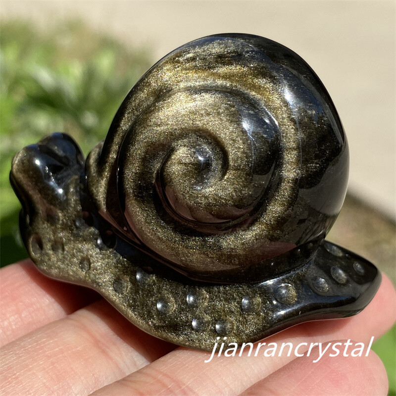 2”+ Natural gold Obsidian Snail Carved Quartz Crystal Skull Reiki Healing 1pc