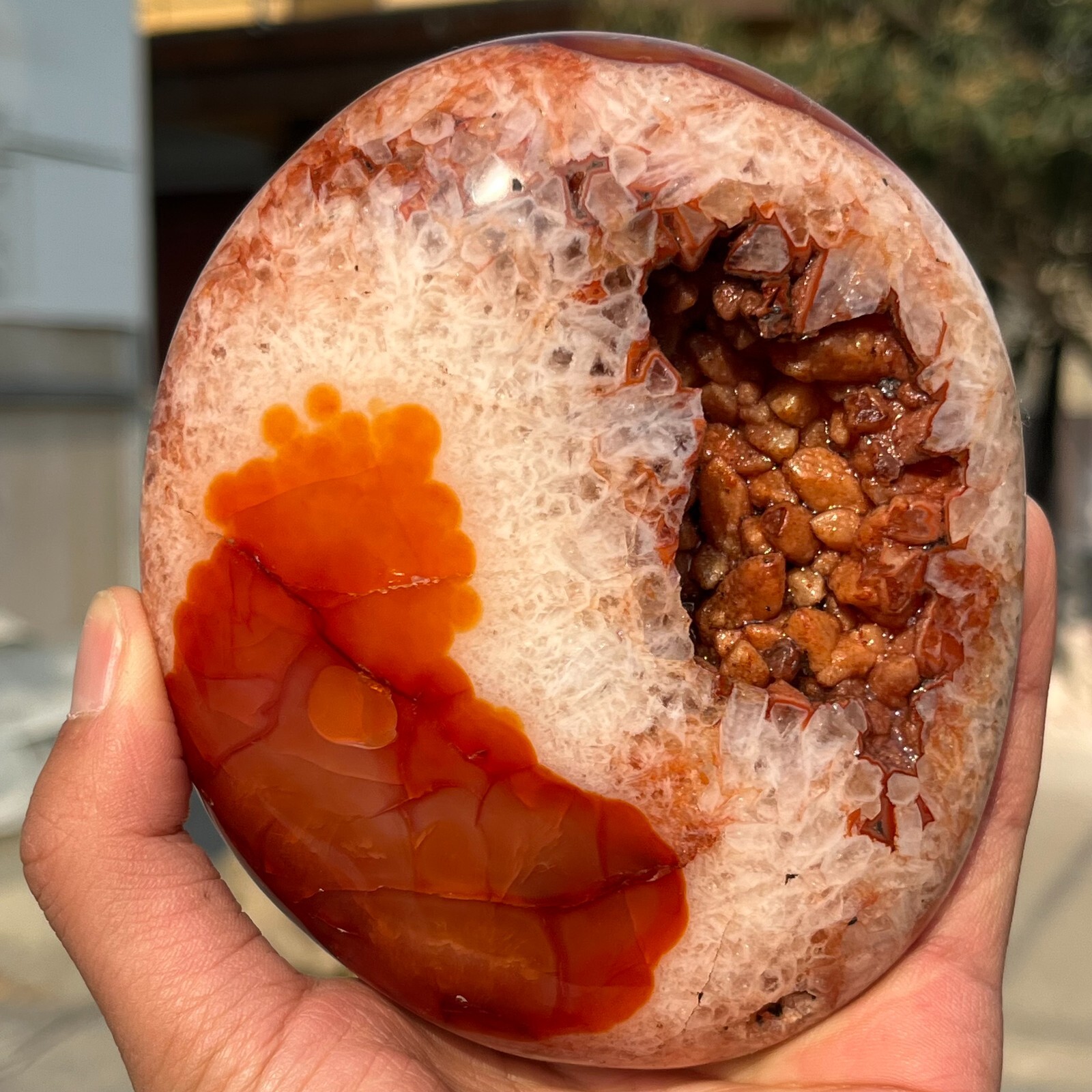 793g Rare Natural Carnelian Geode Agate Quartz Crystal Mineral Healing