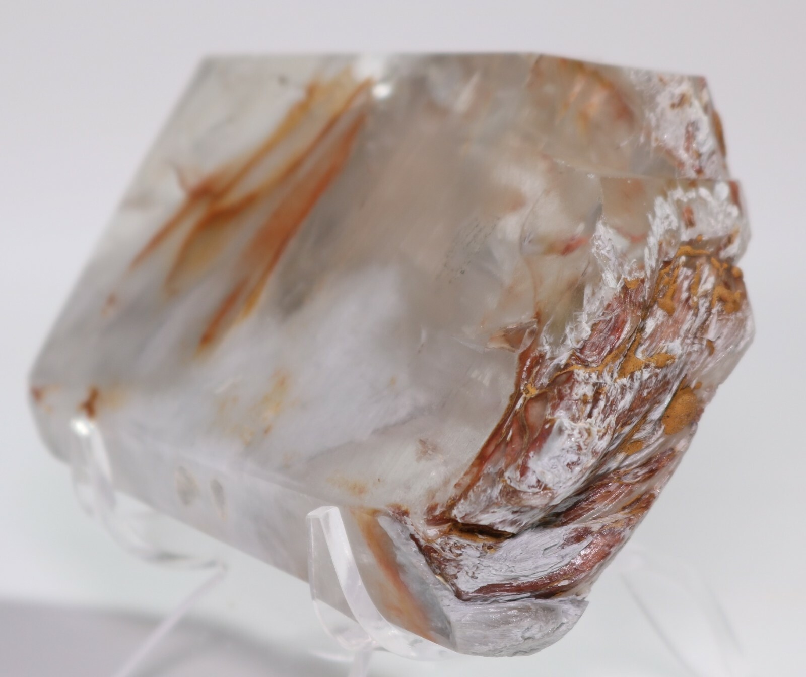 Museum-Grade Amphibole in Quartz Minas Gerais Brazil 131 mm. 5+ inches COA 2825