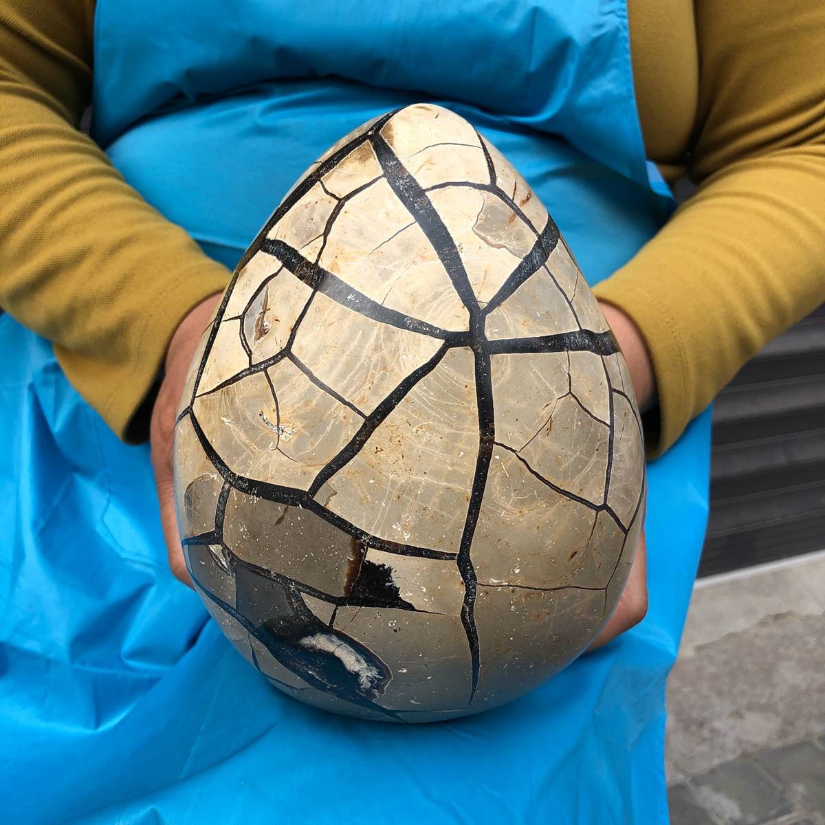 4540G Natural Turtle Back Stone Dragon Crystal Cave Crack Gem Healing 4357