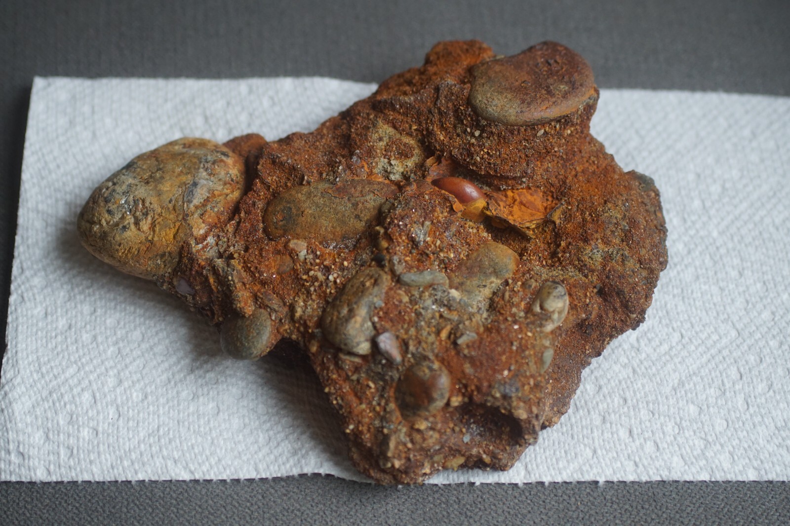 New England Sedimentary Rock Conglomerate Many Different Stones 47 oz