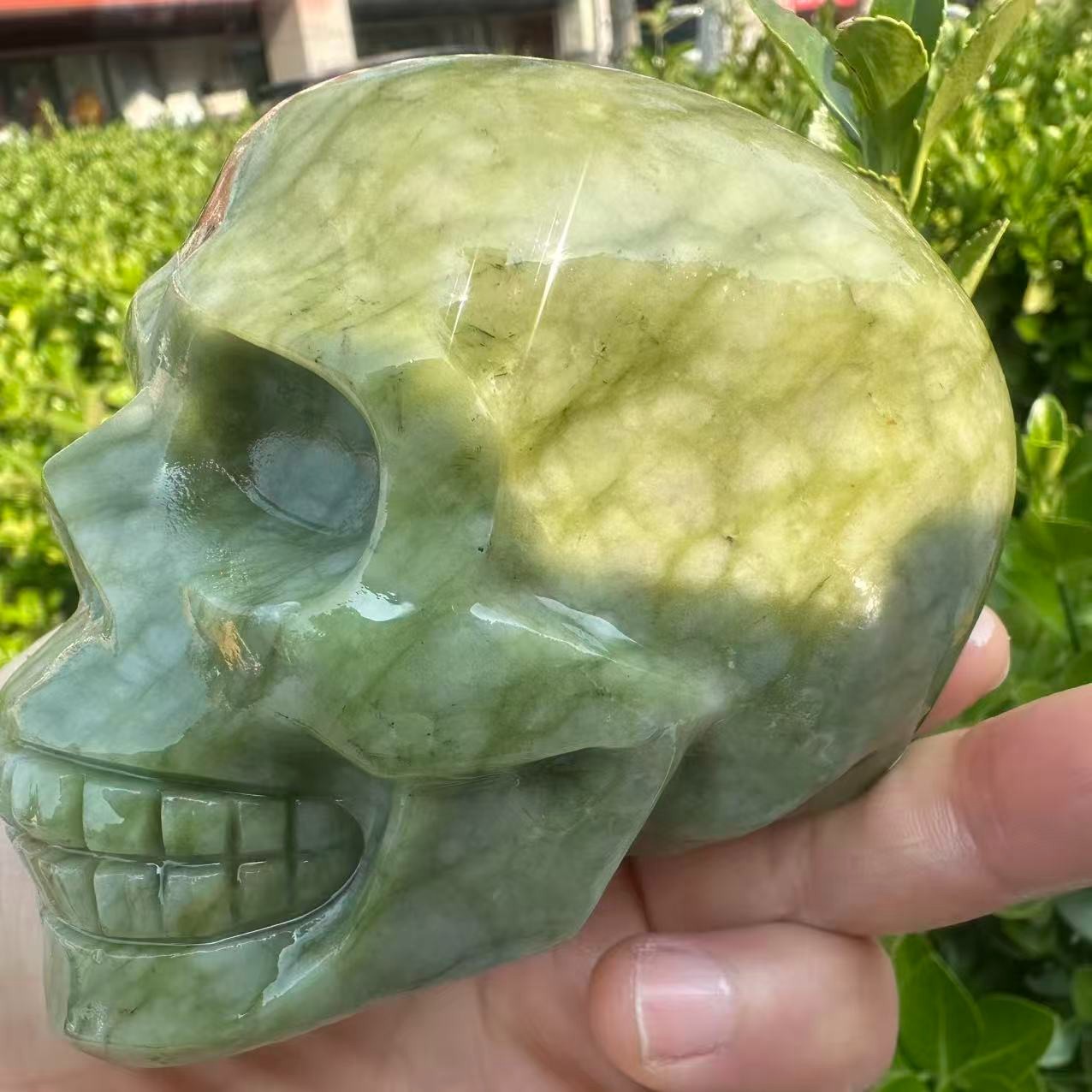 1pc Natural ophiolite carved Quartz Crystal skull Mineral Specimen