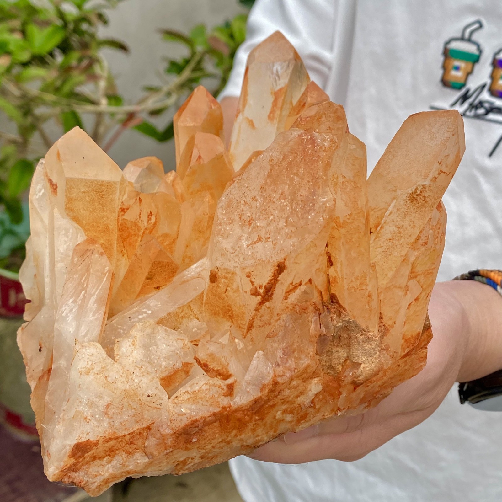 3.65LB Natural Clear Beautiful White QUARTZ Crystal Cluster Specimen Healing