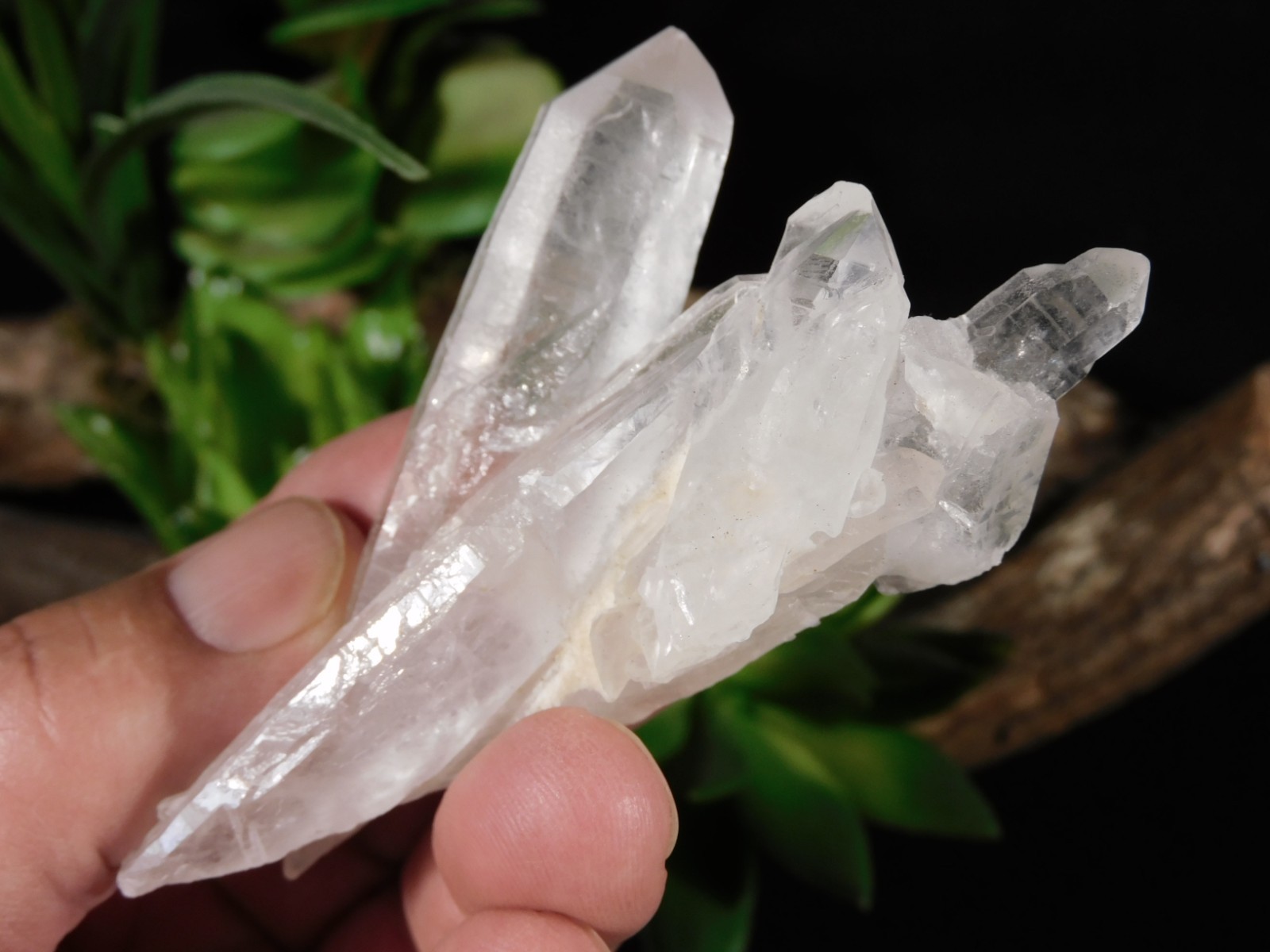 Four Points! Translucent! QUARTZ Crystal Cluster 100% Natural Brazil 70.1gr