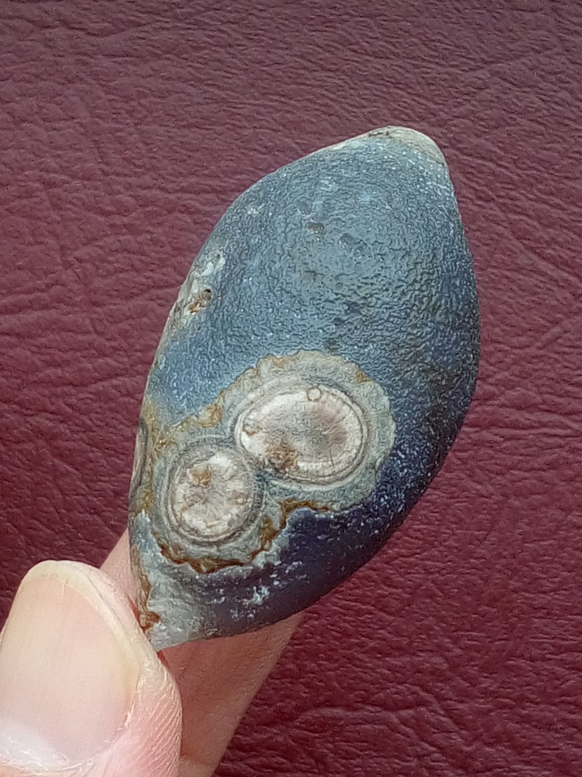 57mm Beautiful Natural Gobi agate eye agate collection Landscape stone