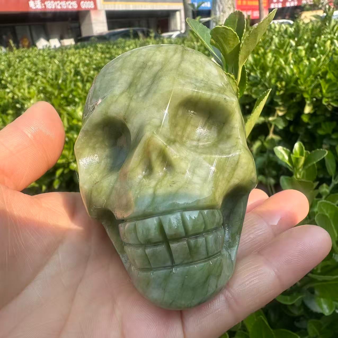 1pc Natural ophiolite carved Quartz Crystal skull Mineral Specimen