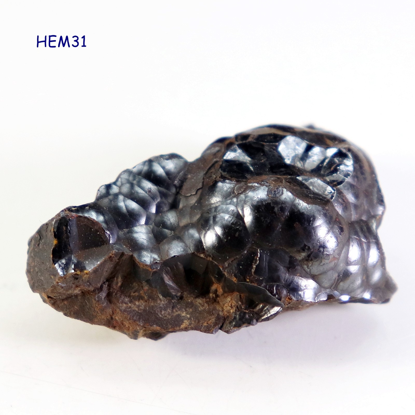Mineral Specimens: Botryoidal, Globular Kidney Ore Hematite from Morocco