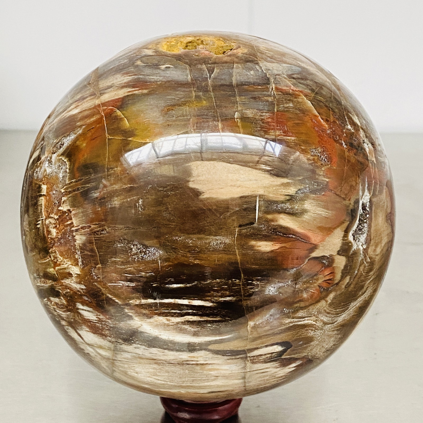Natural Petrified Wood Polished Stone Quartz Crystal Sphere Ball Healing 3840G