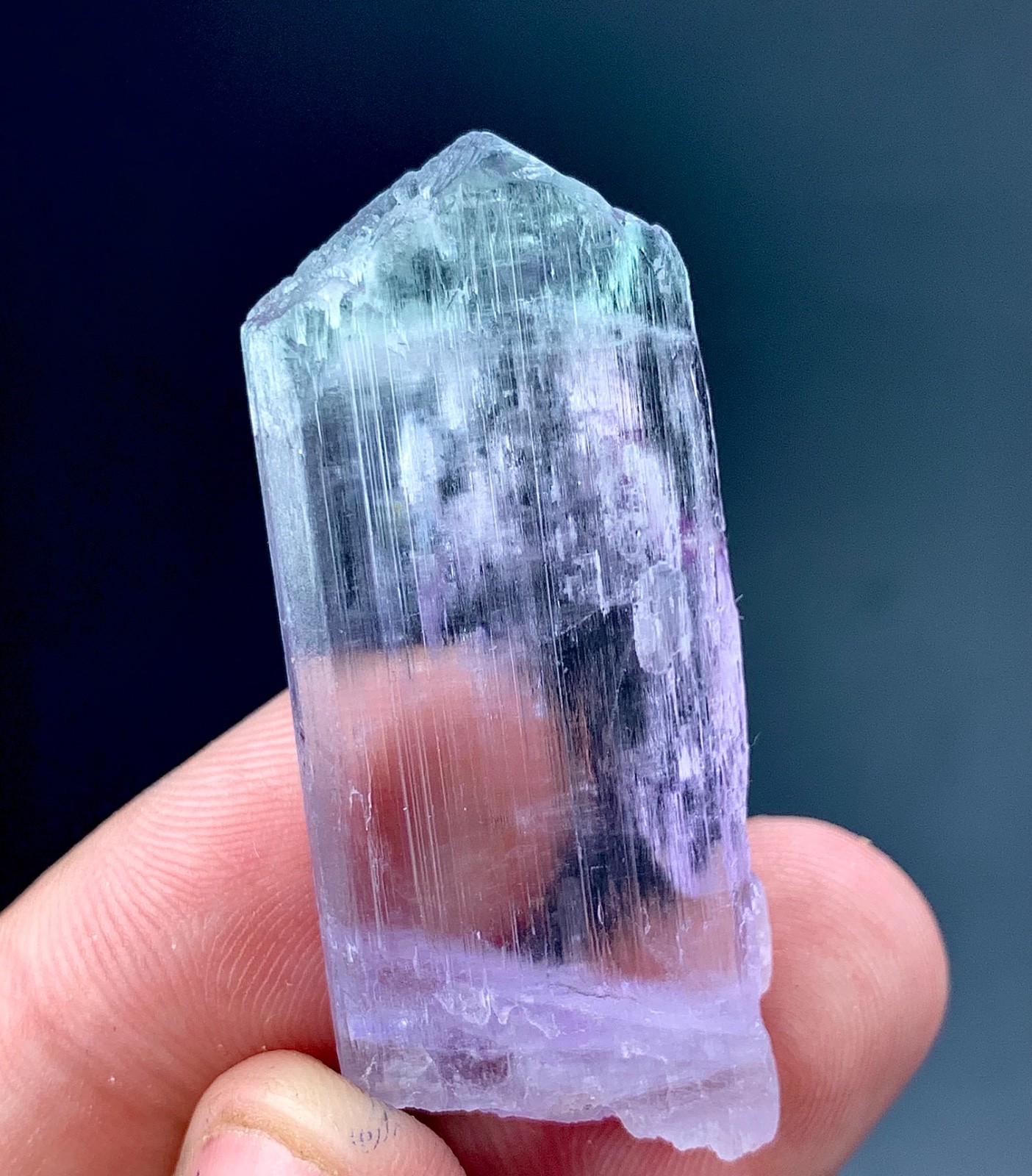 70 CTs Natural Bicolor Kunzite Crystal specimen from Afghanistan