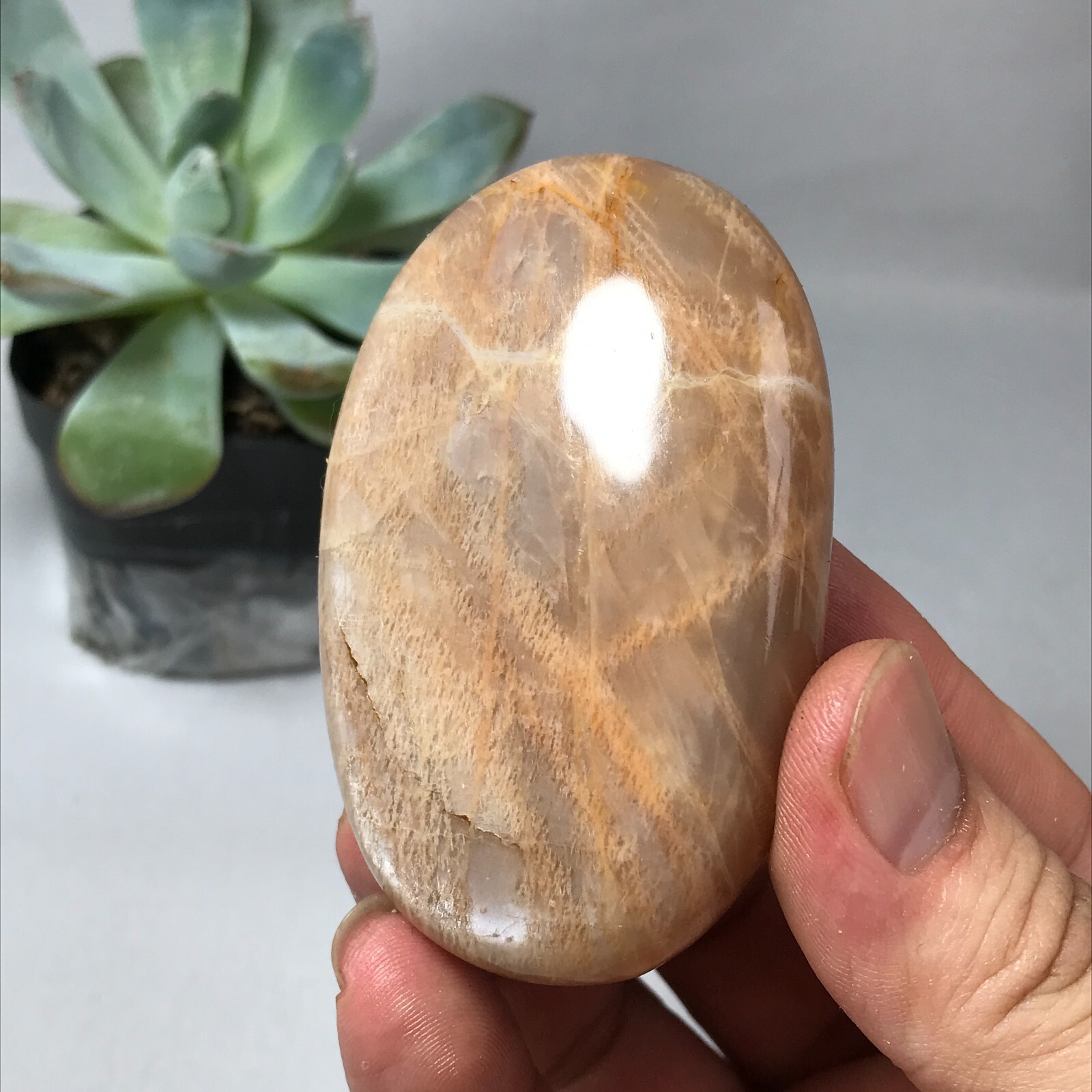 72mm Natural white moonstone polish/rough Crystal specimens Mineral 123g g6666