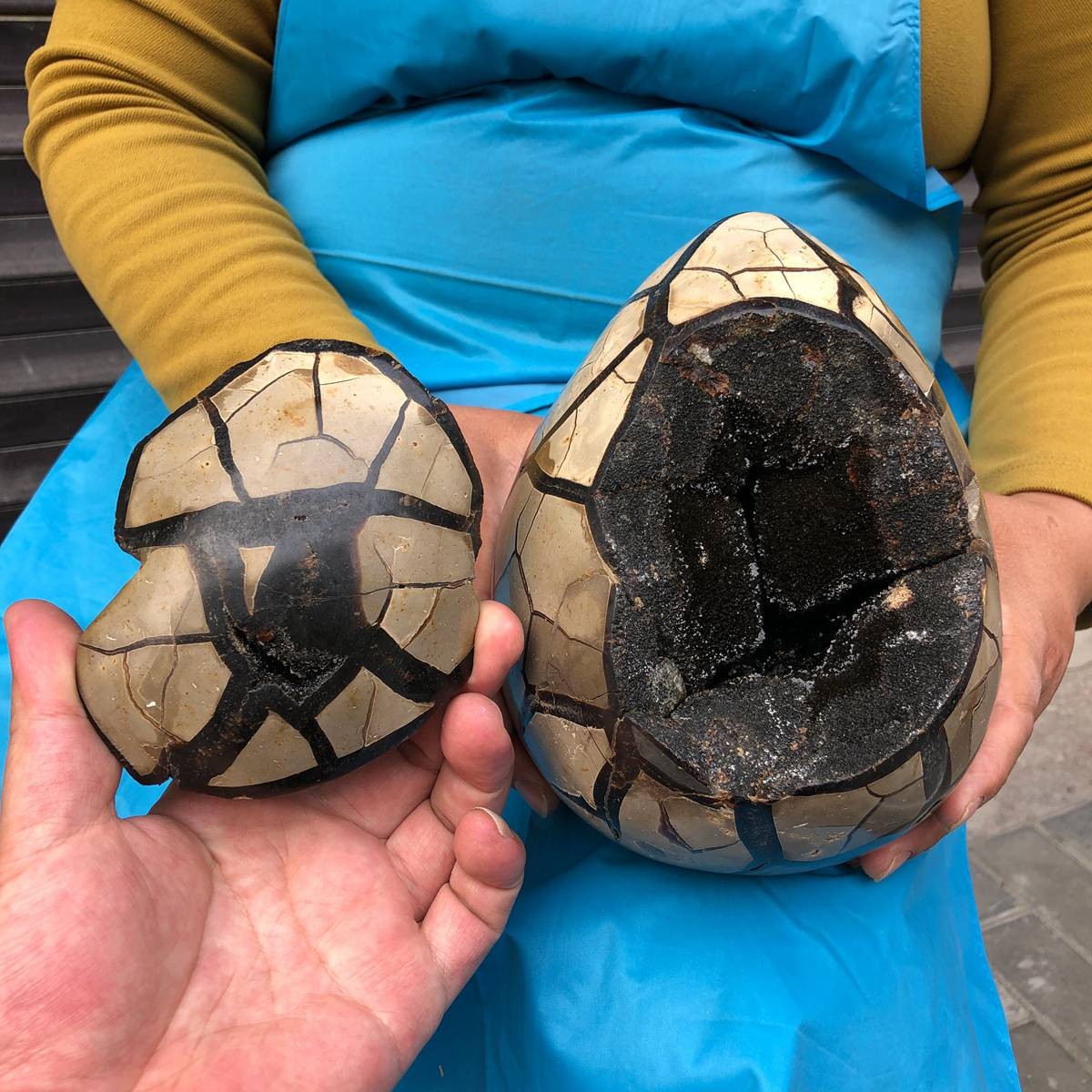 4540G Natural Turtle Back Stone Dragon Crystal Cave Crack Gem Healing 4357
