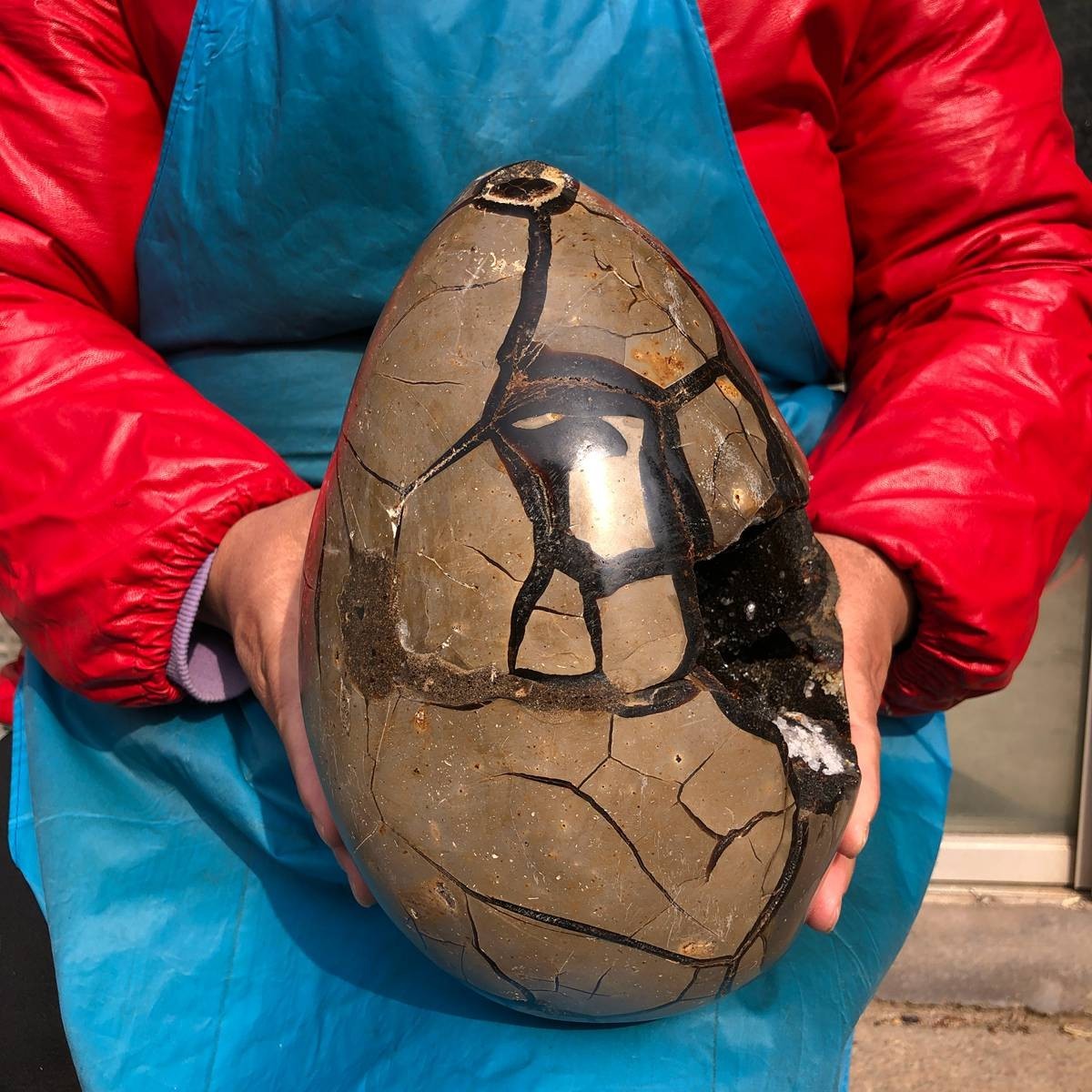 8410g Natural Dragon Septarian egg Quartz Crystal geode decoration