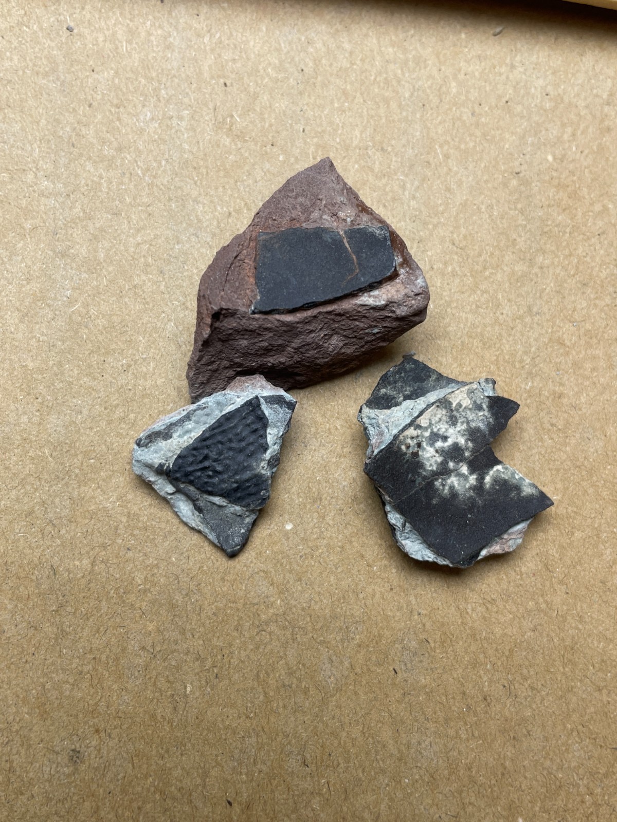 3 pieces Eggshell Landscape stone