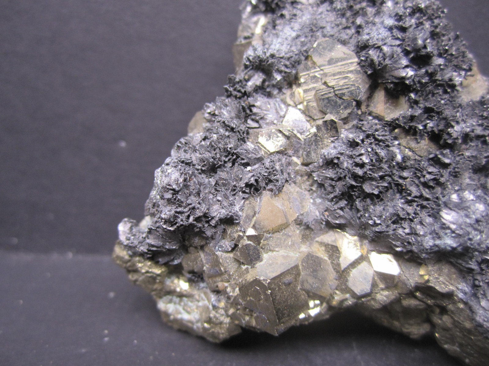 Franckeite on Pyrite, San Jose Mine, Bolivia #3