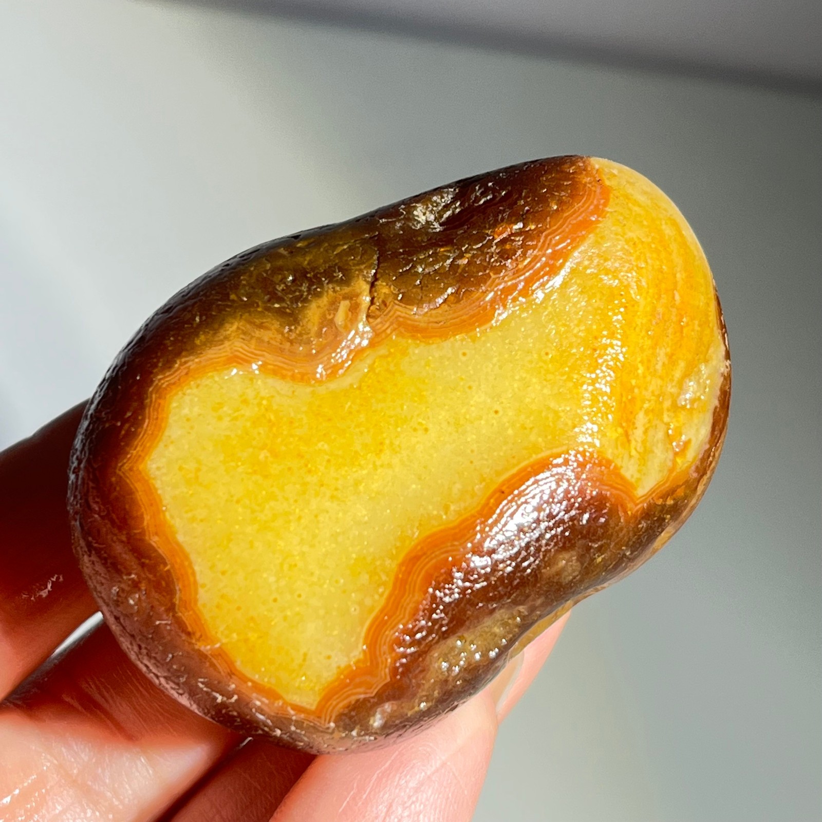 106g Bonsai Suiseki-Natural Gobi Agate Eyes Stone-Rare Stunning Viewing