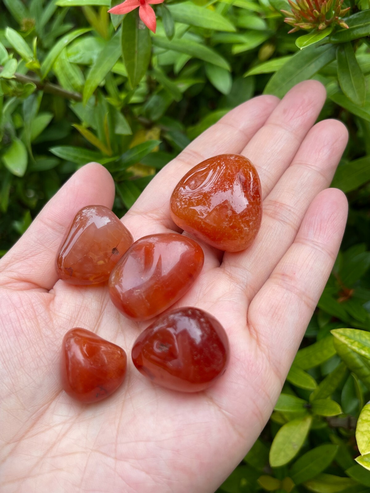 Grade A++ Carnelian Tumbled Stones, 0.75″-1.25″ Tumbled Carnelian, Pick a Weight