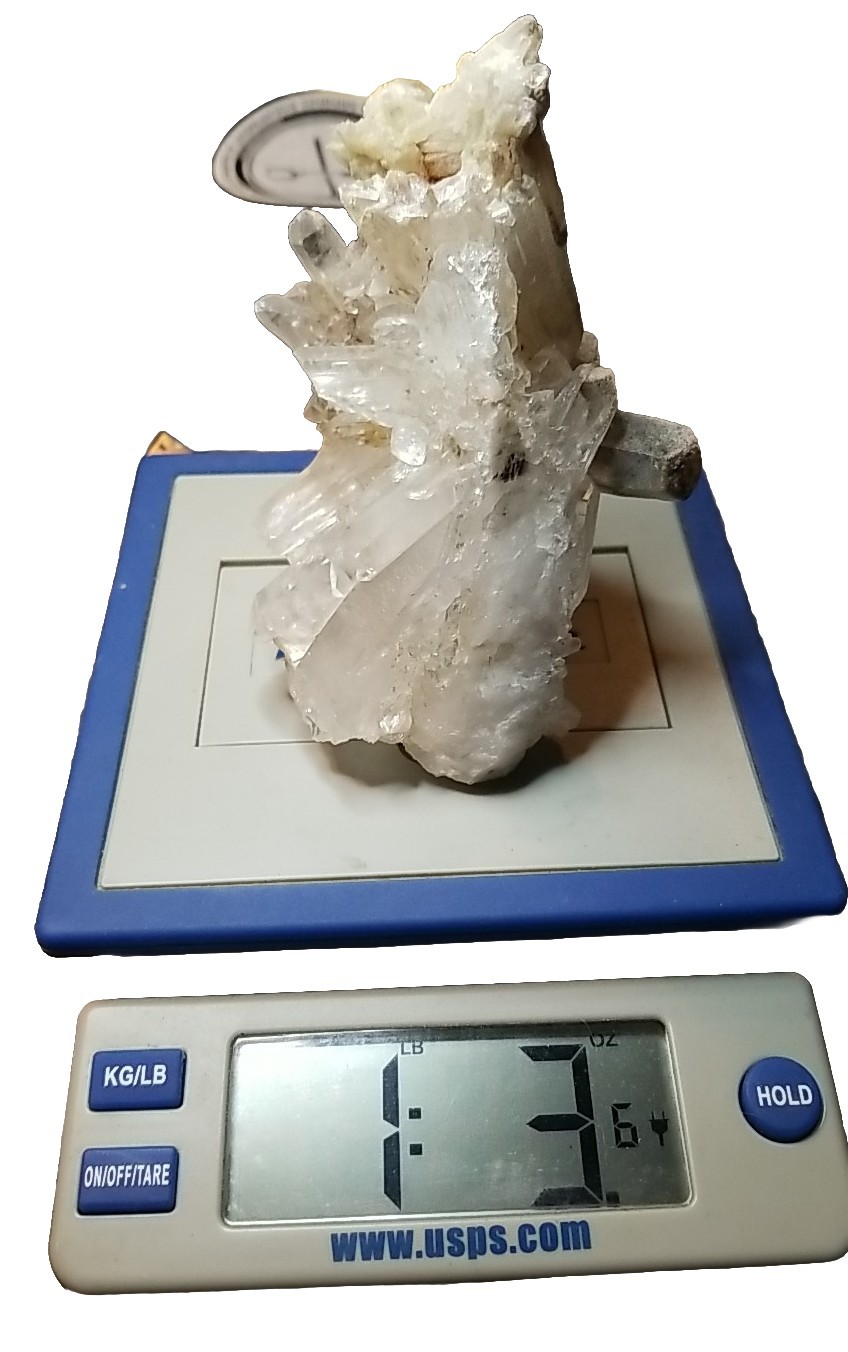 Quartz Crystal Cluster Godzilla Natural Clear Freestanding 1.36 Lbs