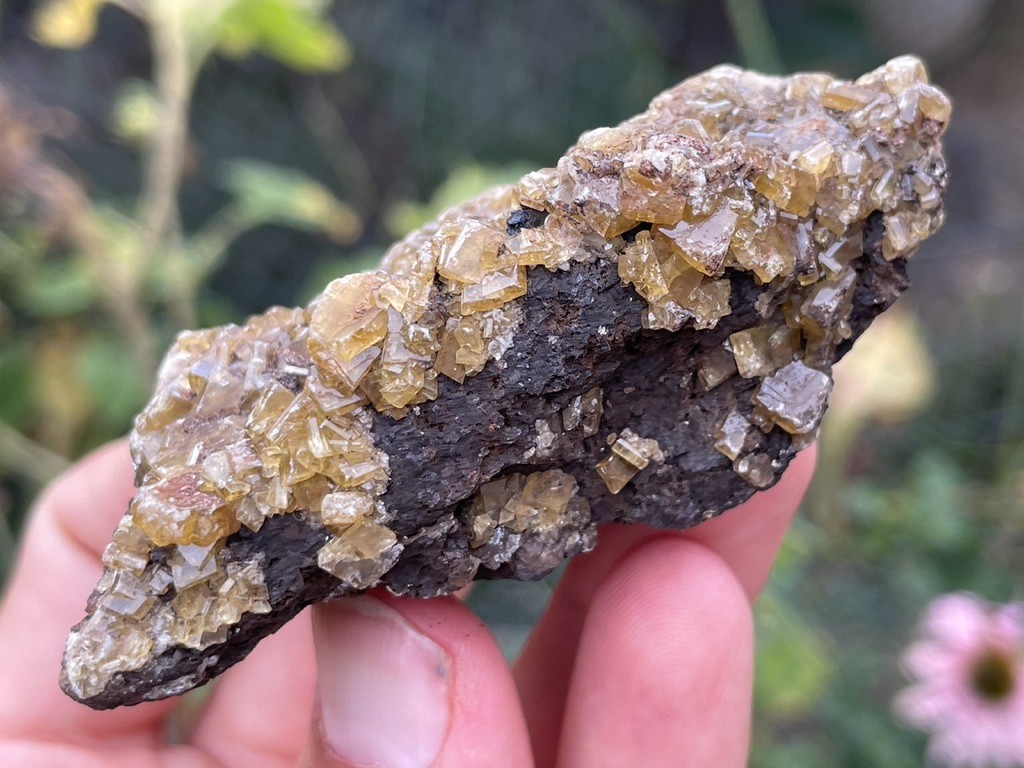 Baryte on Siderite – Magma Mine, Superior, Pinal County, Arizona, USA