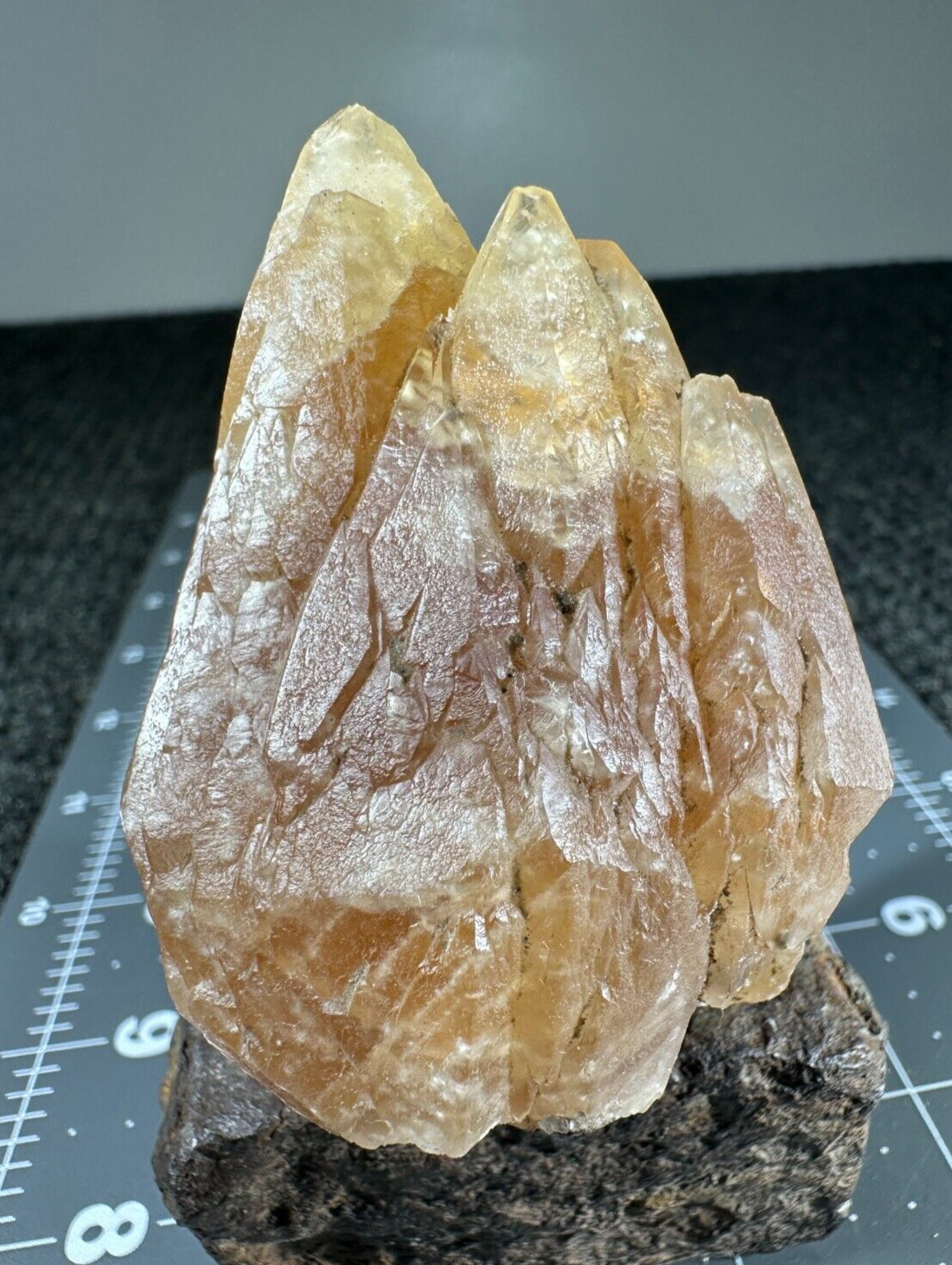 ➤ 2-3/4 INCH HONEY DOGTOOTH CALCITE CRYSTAL – Pugh Quarry Ohio VIDEO➤453