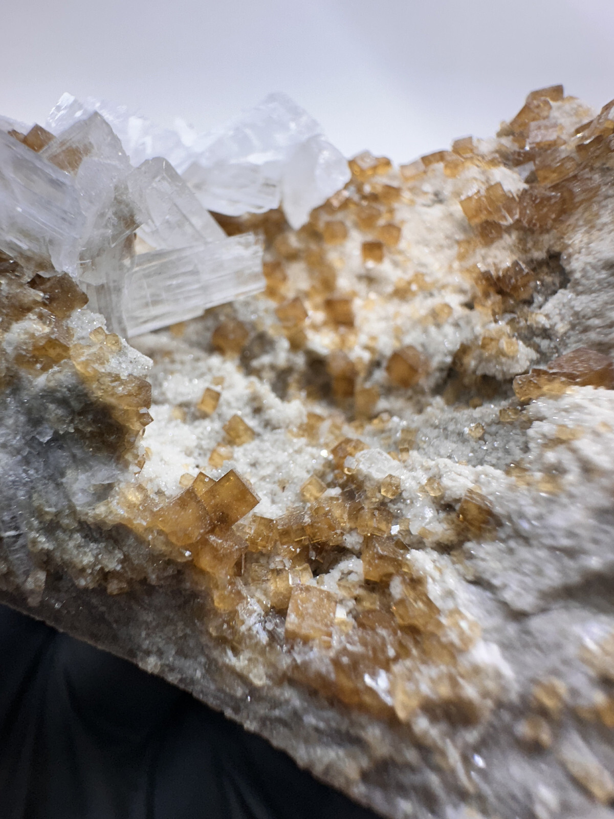 FLUORESCENT__Large Root beer Fluorite & Celestite Specimen / Clay Center Ohio