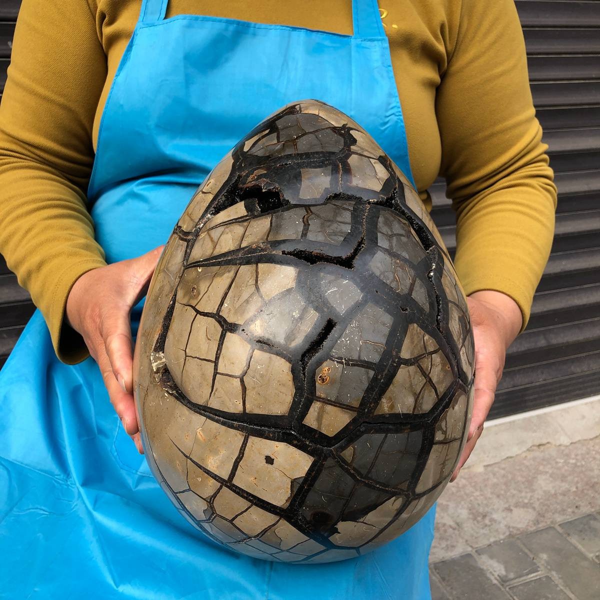 16.89KG Natural Turtle Back Stone Dragon Crystal Cave Crack Gem Healing 4358
