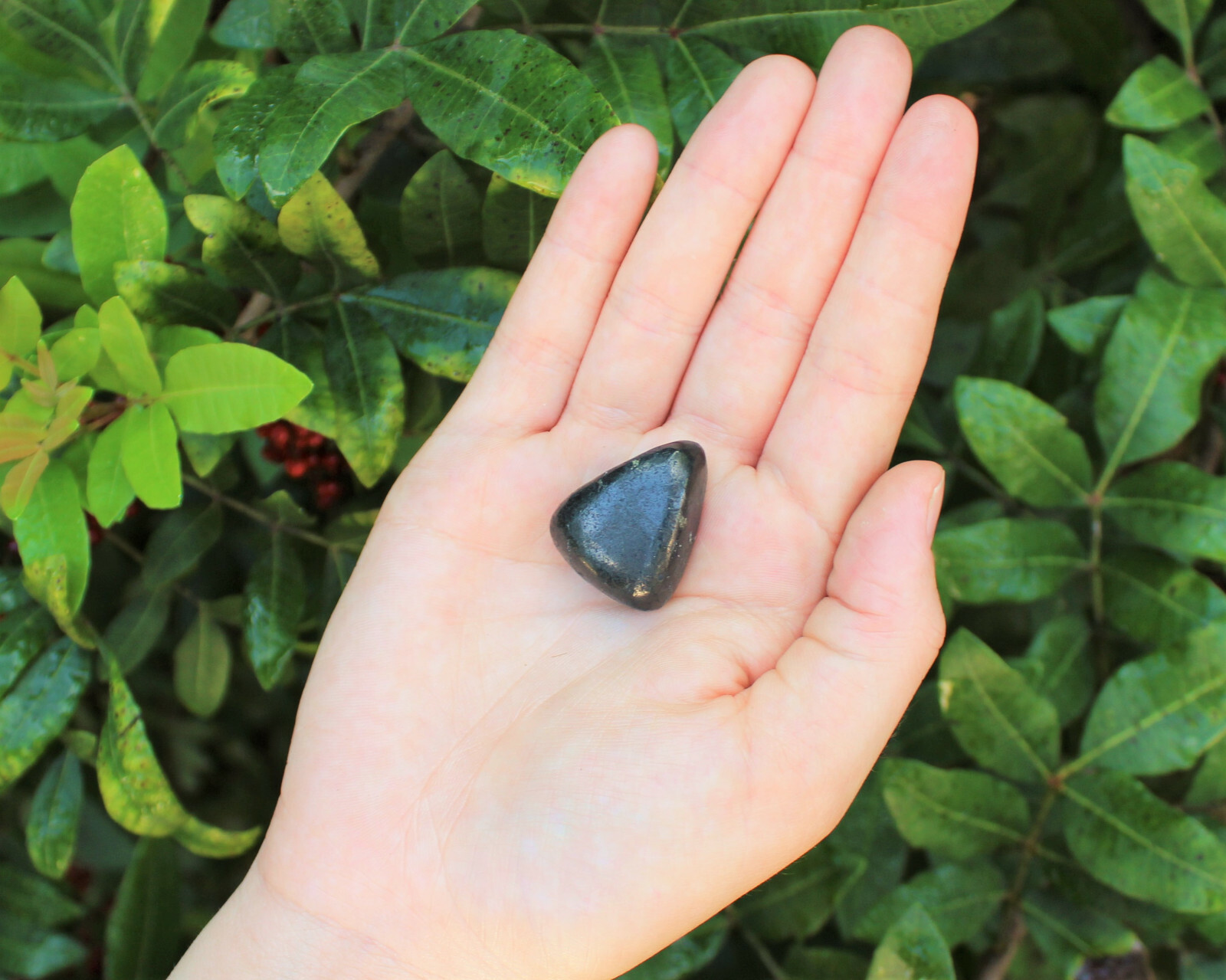 1 Shungite Specimen Tumbled Stone; Medium (Crystal Healing Gemstone Reiki)
