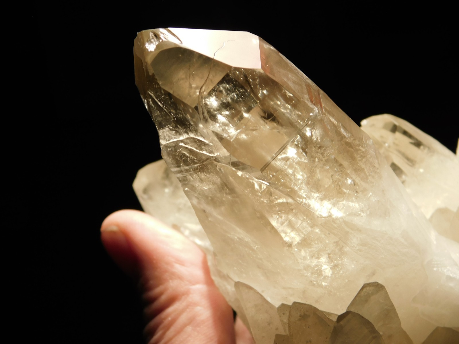 BIG! Free Standing! SMOKY Quartz Crystal Cluster From Brazil 792gr