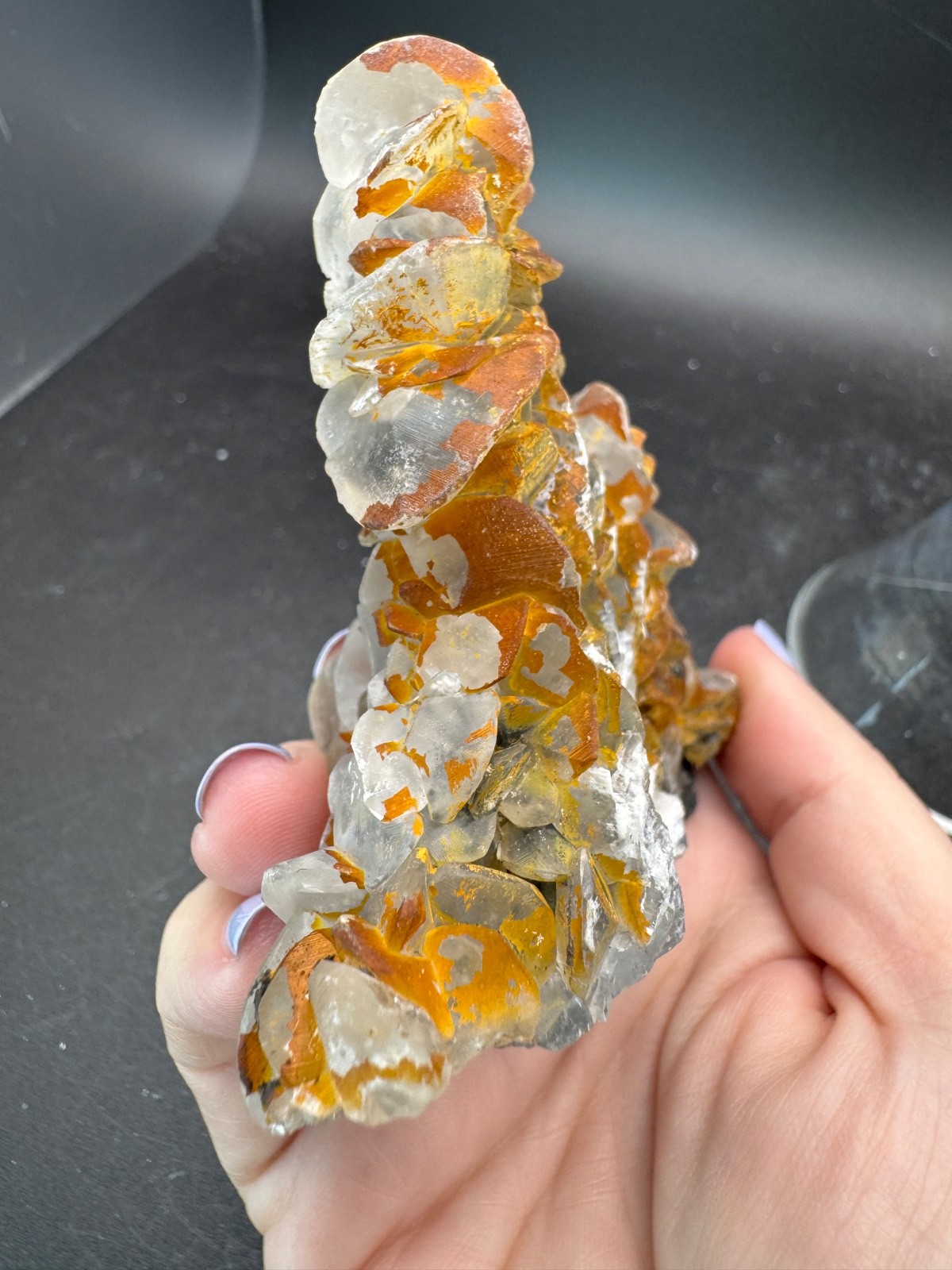 6642 Double Sided Shell Calcite Formation Fu Jian 175g