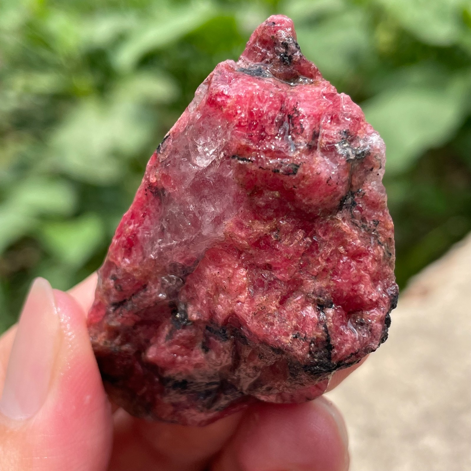 84g Small Raw Ore Red Black Rhodonite Quartz Gemstone Mineral Specimen