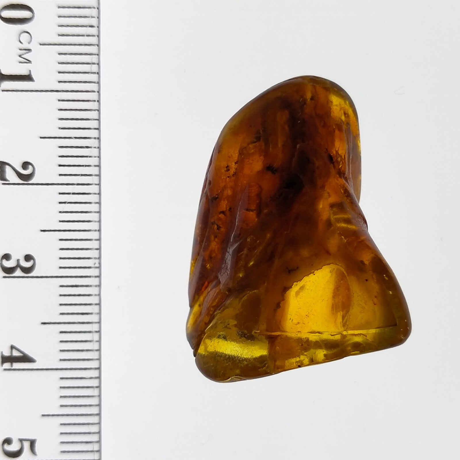 Insect fossil in Amber preserved natural bug inclusion polished gemstone 22.6ct