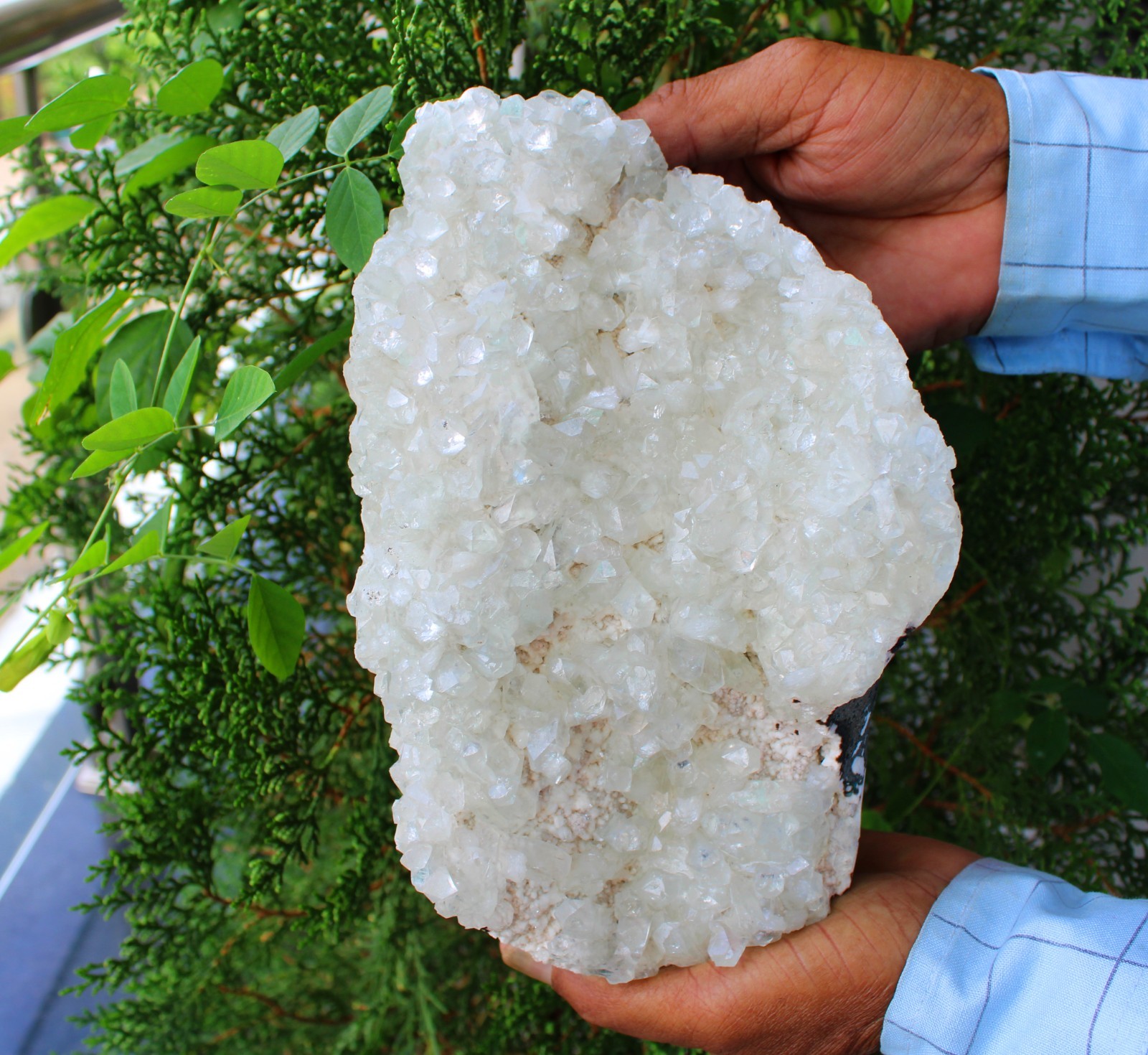 Light Green Apophyllite Crystals On Matrix Mineral Specimen