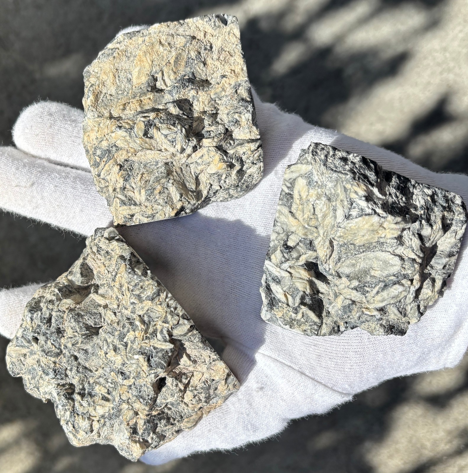 1lb+ LOT PINOLITH JASPER ROUGH LARGE SPECIMENS SPECIMEN 1 POUND LARGE CHUNKS