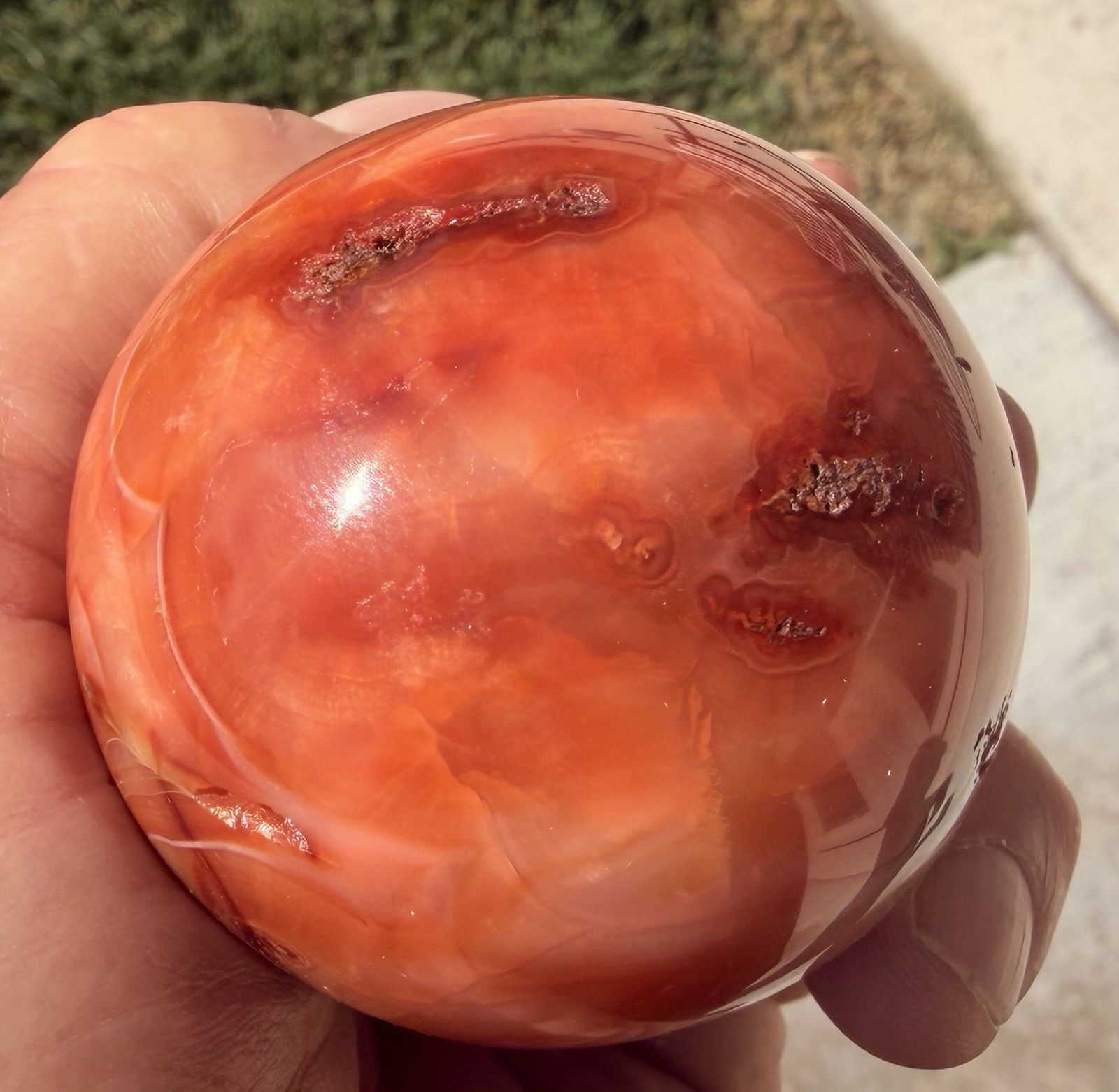 Large Natural Polished Carnelian Agate Egg Shape Display Specimen
