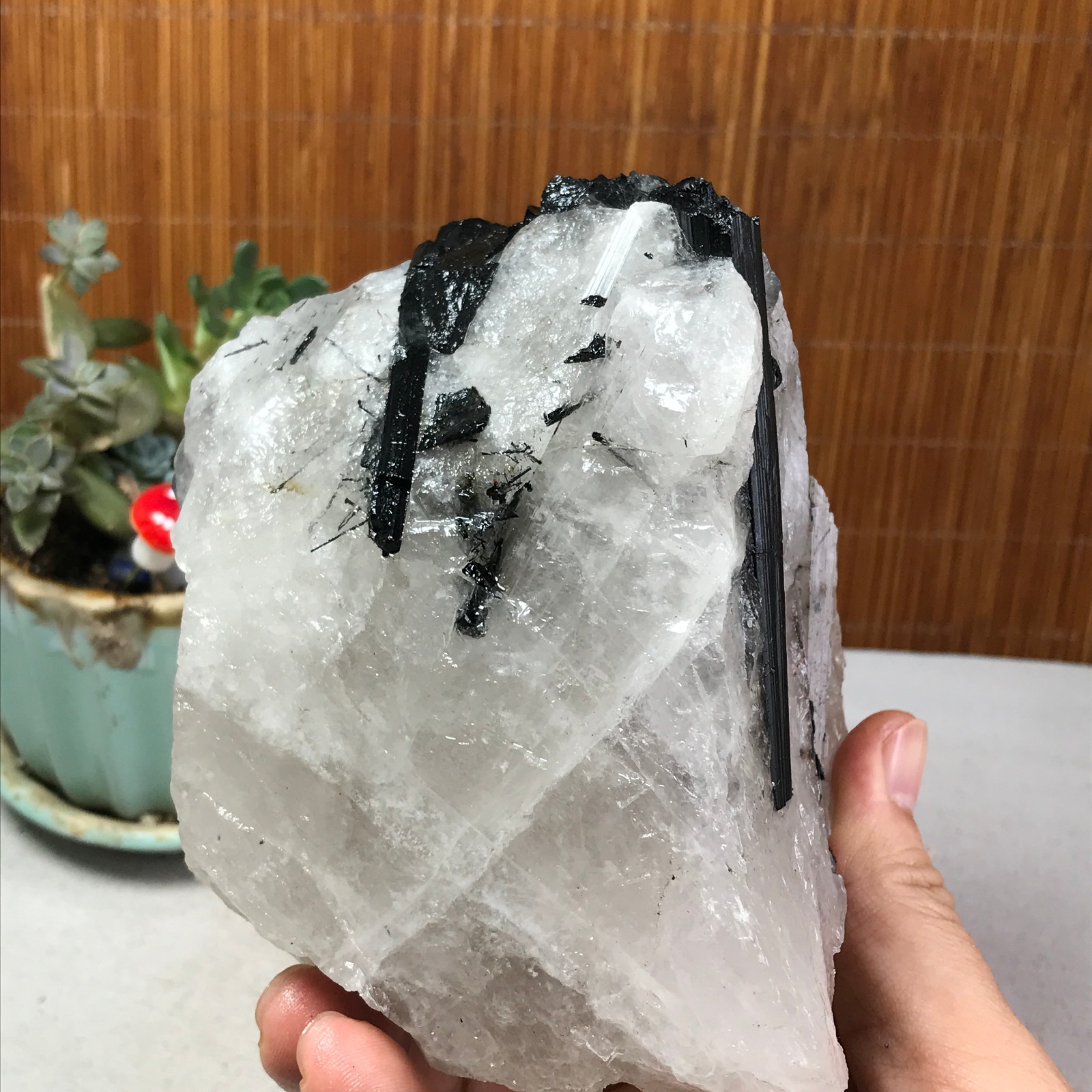 1.22kg Natural Beautiful Black tourmaline Quartz specimen Crystal Healing A6278