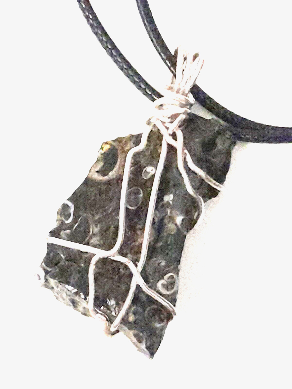 Mens boy sealed Natural Rough turritella teenage fossilized agatized shells rock