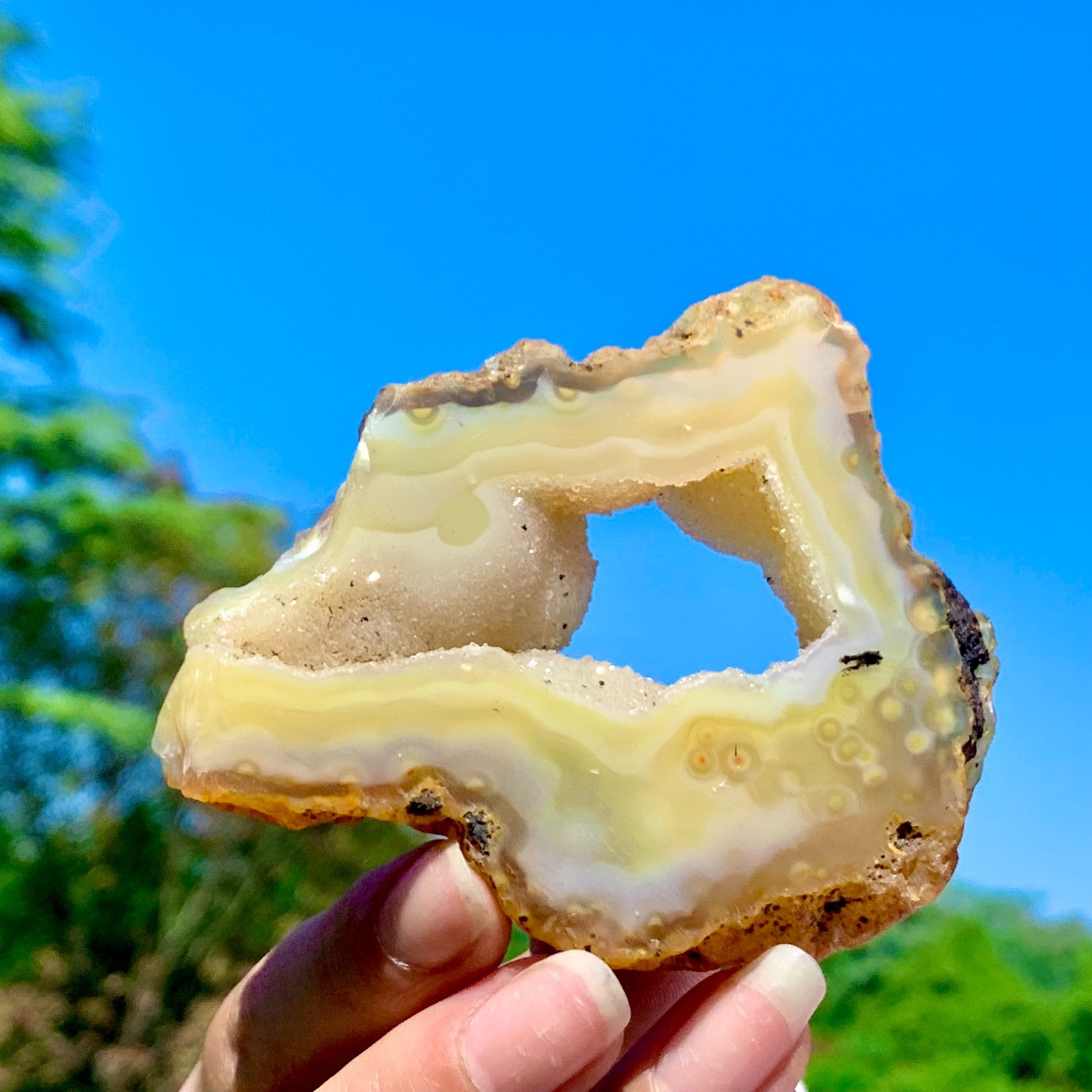 94G AAA Grade Natural Beautiful Yellow Agate Geode Druzy Slice Extra Large Gem