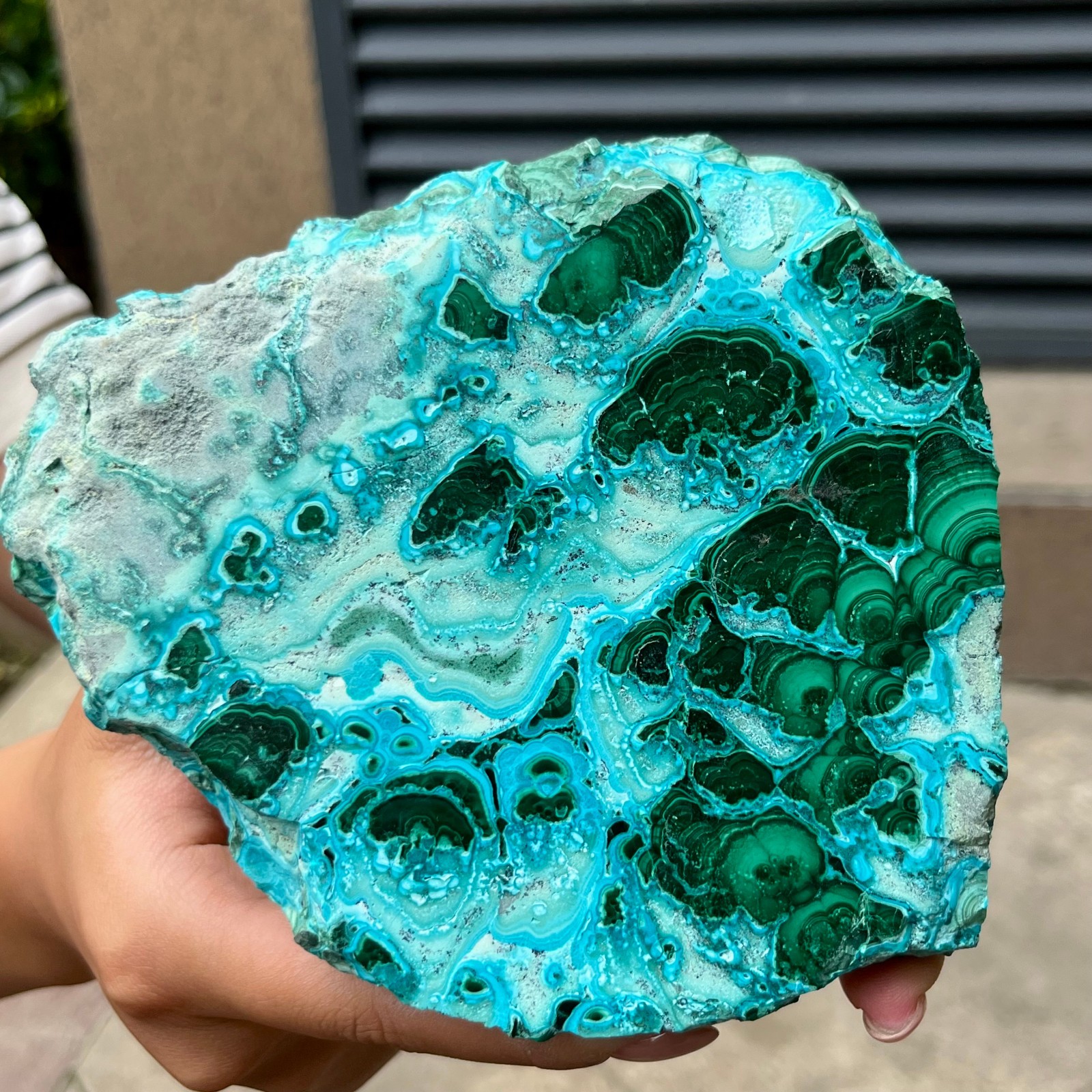 Natural Blue Green Chrysocolla Slice Polished Crystal Healing Stone 554 g