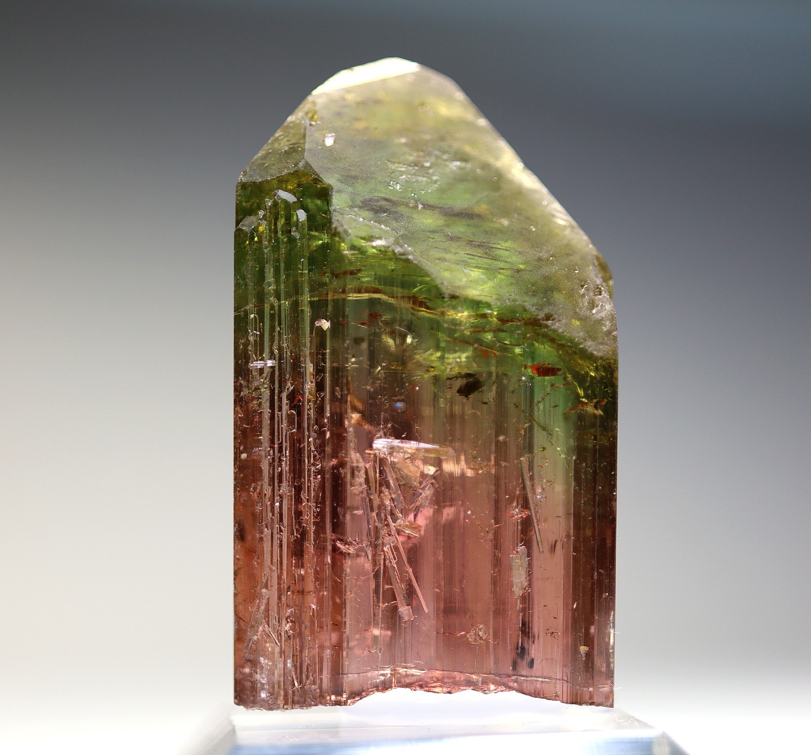 Gem Tourmaline. Nuaparra Pegmatite, Zambezia Prov., Mozambique. About 50 grams