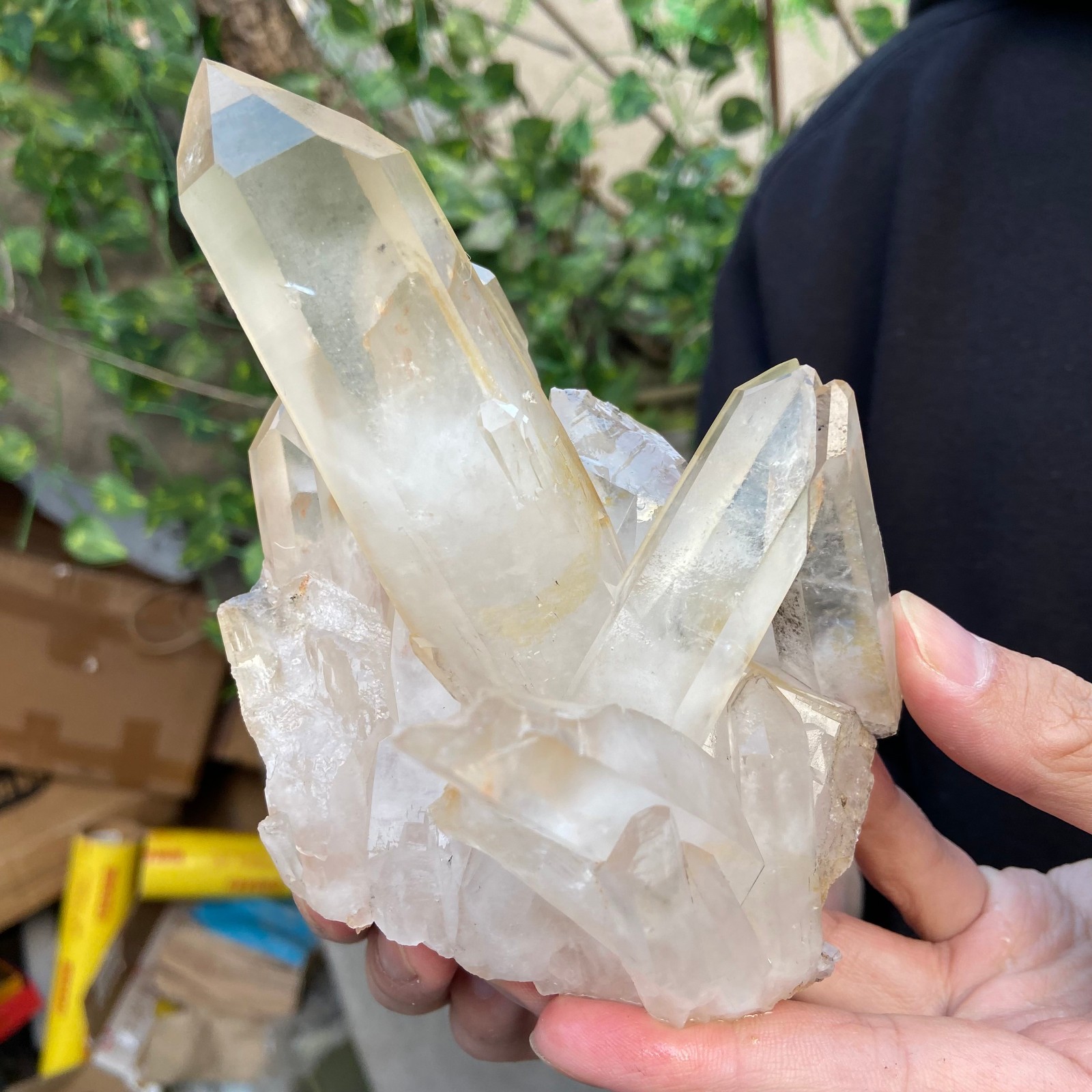 1.5lb Natural Clear White Quartz Crystal Cluster Rough Healing Specimen
