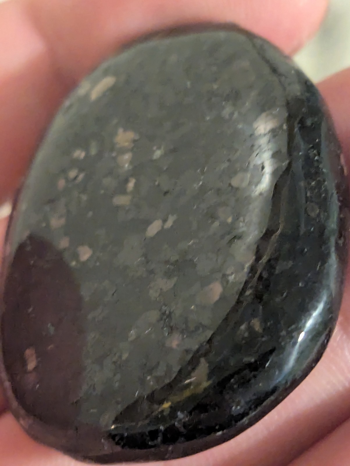 Flat Round Ovular sparkling Palm Stone