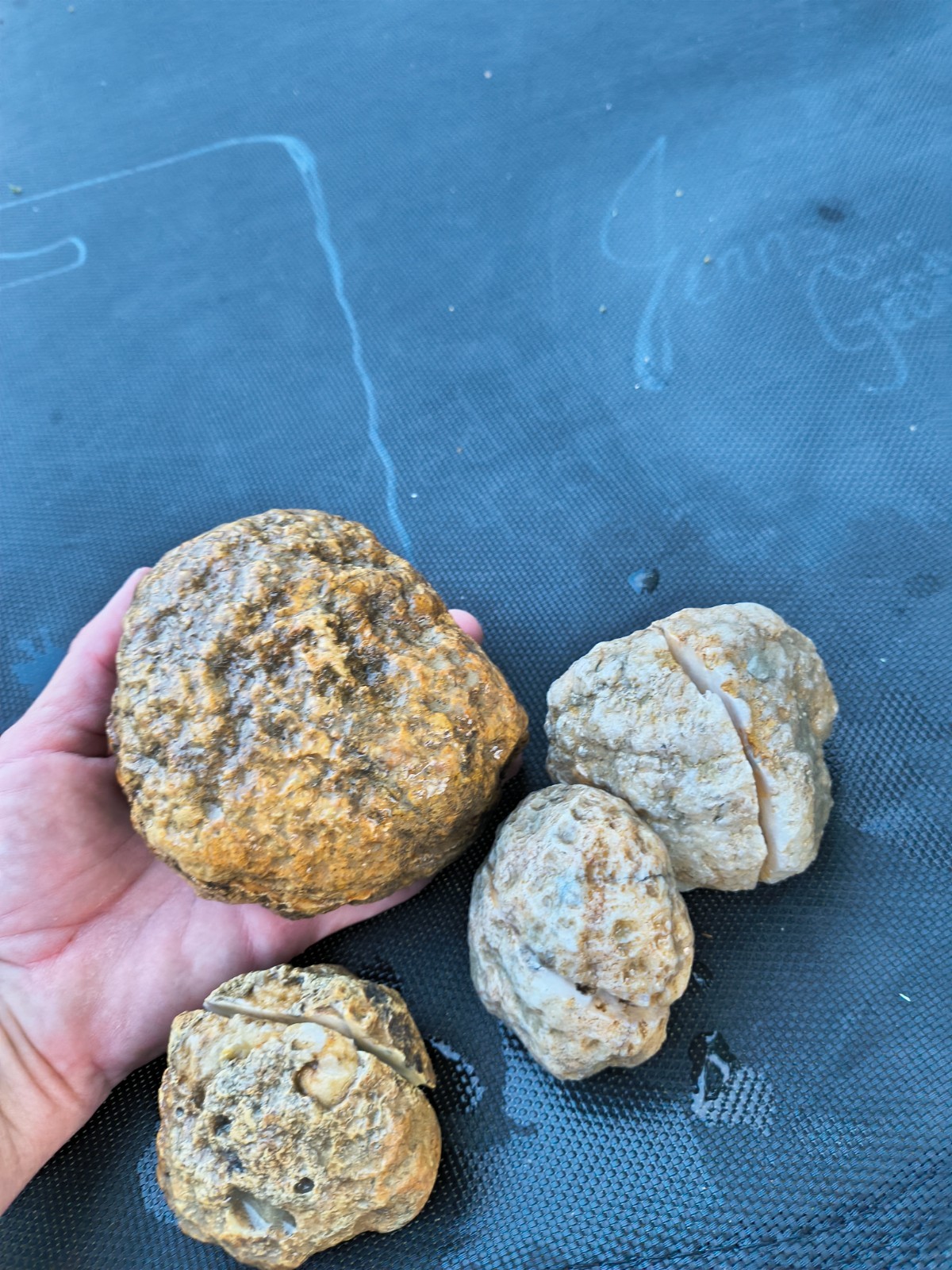 3 LB Kentucky KY Geodes Pre-Scored Crack Your Own Set 4 Piece Lot Hand Collected