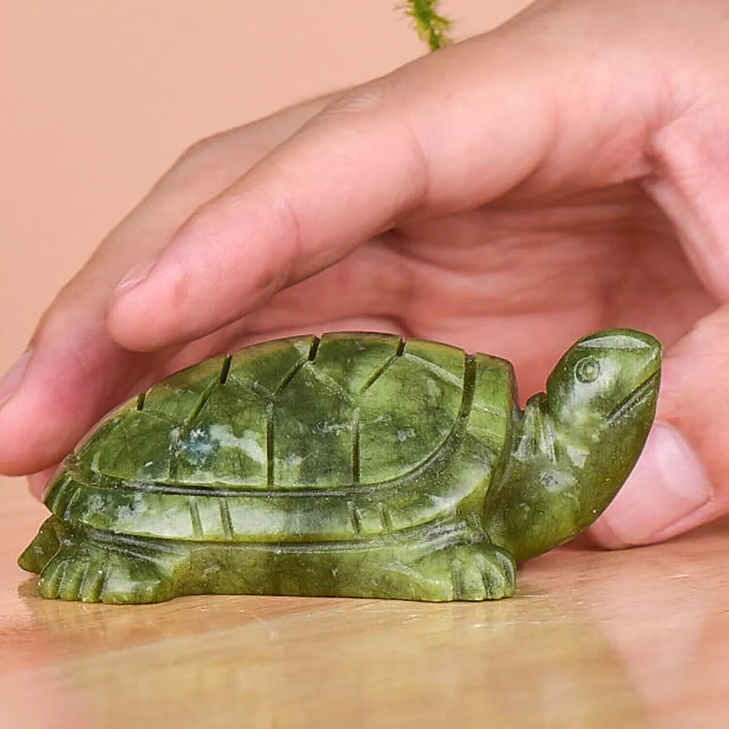 Nephrite Jade Turtle Crystal Mineral Specimens Hand Carved Home Decor Gifts