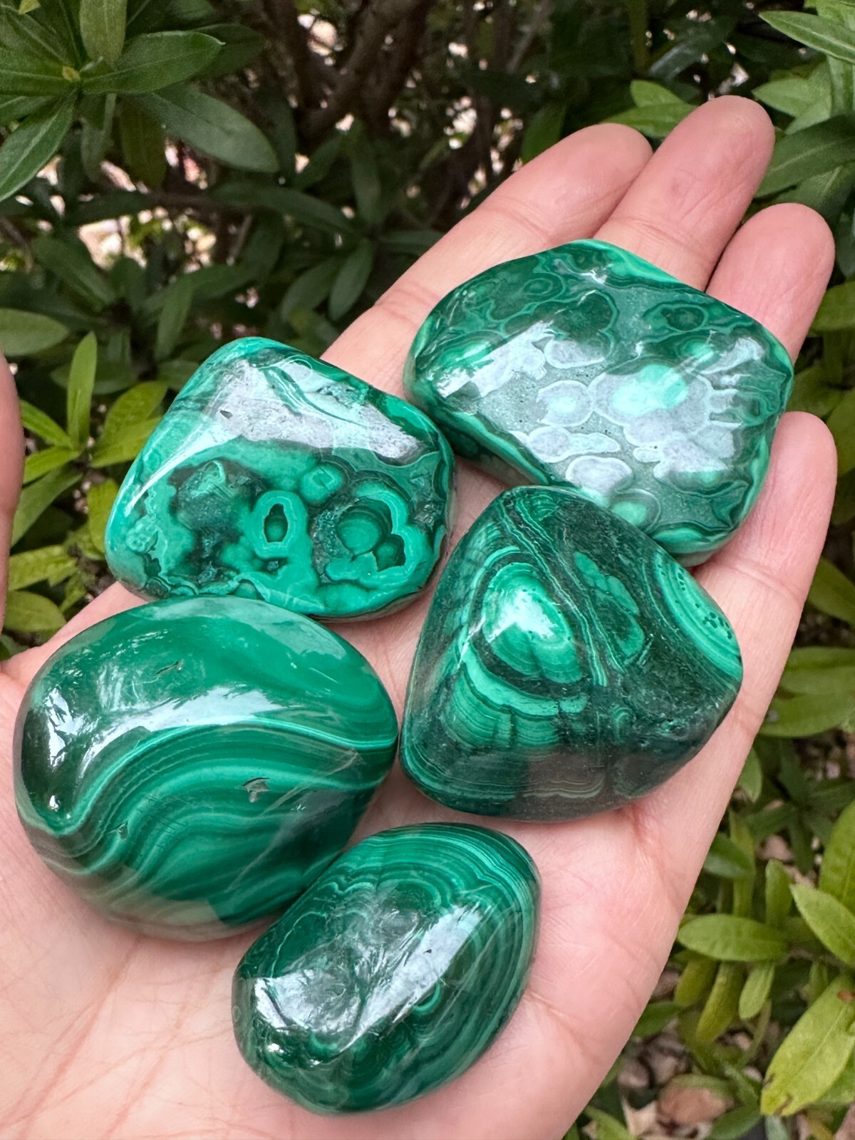 Grade A++ Malachite Pebble, 1.25-1.75 Inch Large Tumbled Malachite Stones