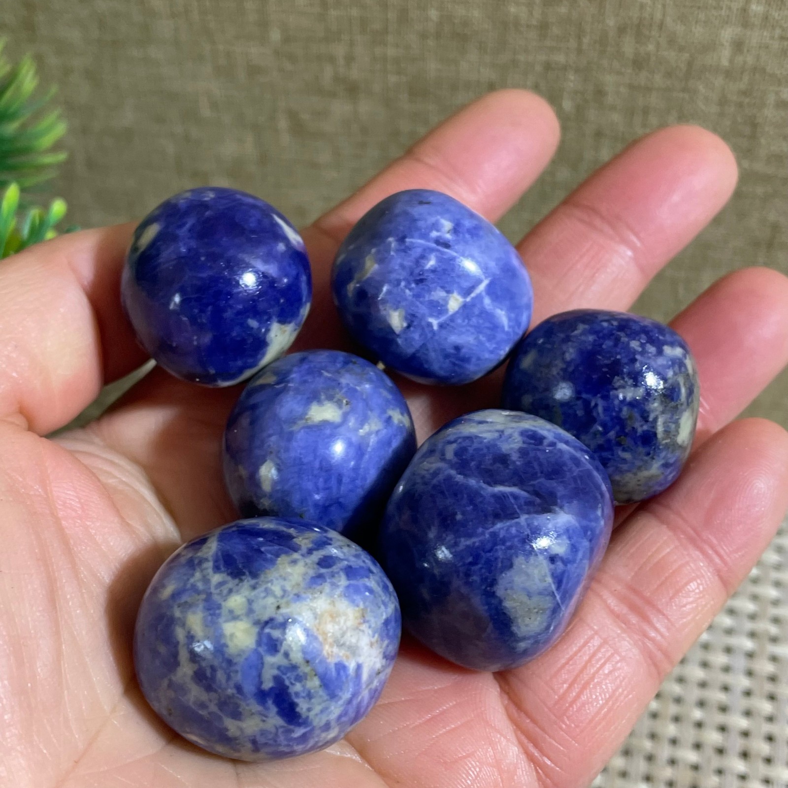 6pcs 112g Raw Rough Sodalite Blue Stone Rocks Chunks Crystal Mineral Specimens