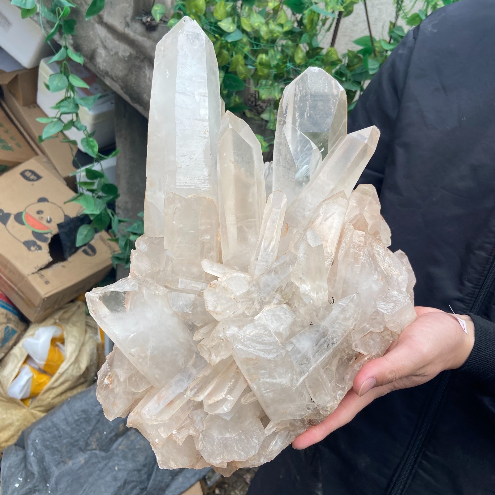29.9lb Natural Clear White Crystal Quartz Cluster Rough Healing Specimen