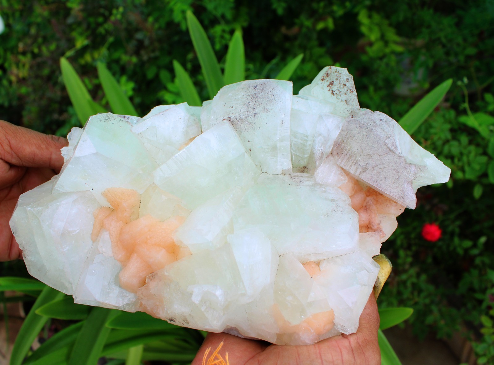 GREEN APOPHYLLITE CRYSTALS WITH STILBITE ON MATRIX MINERALS SPECIMEN #A60