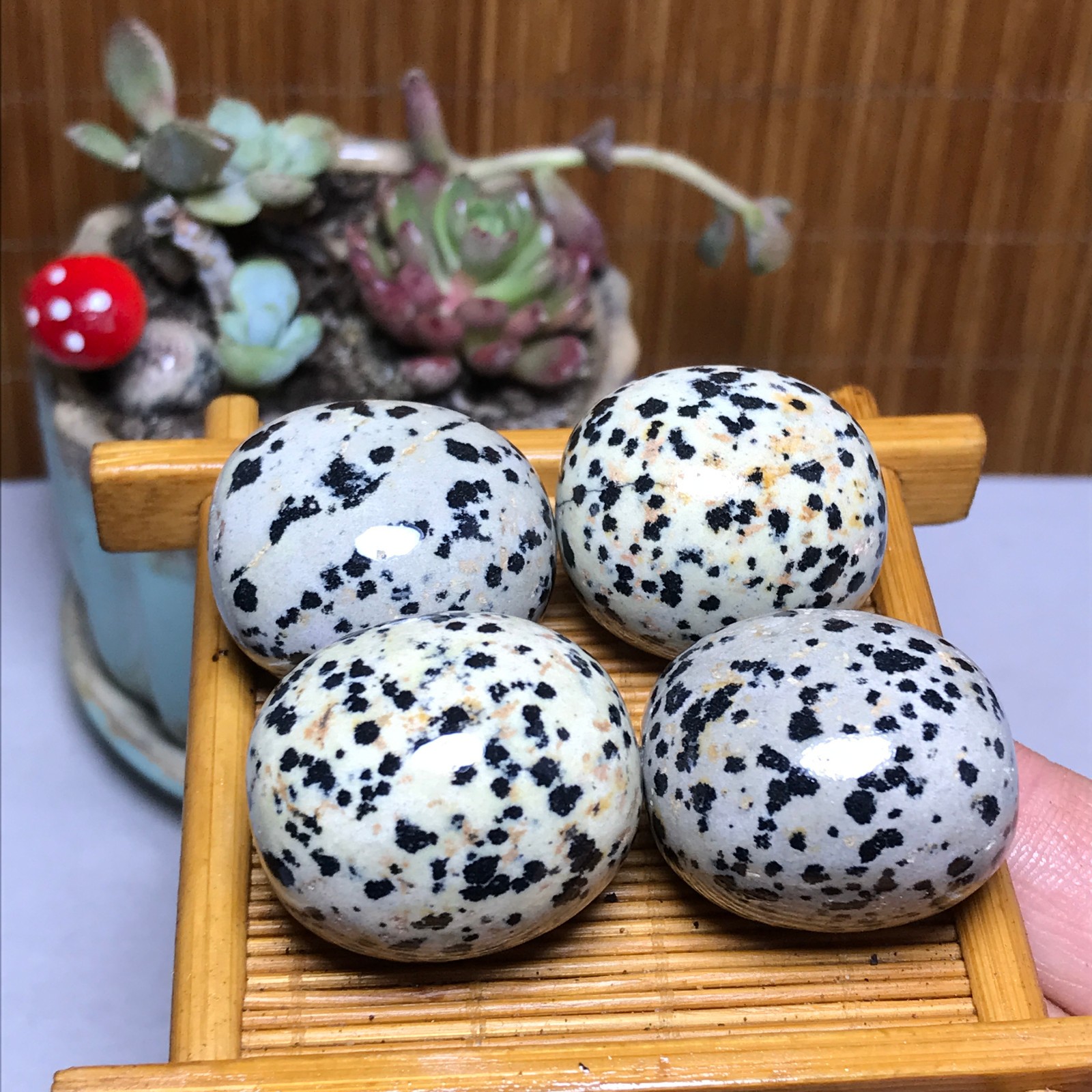 28-23-23mm 4Pcs Natural spotted stone Crystal gemstone Mineral Specimen A4404